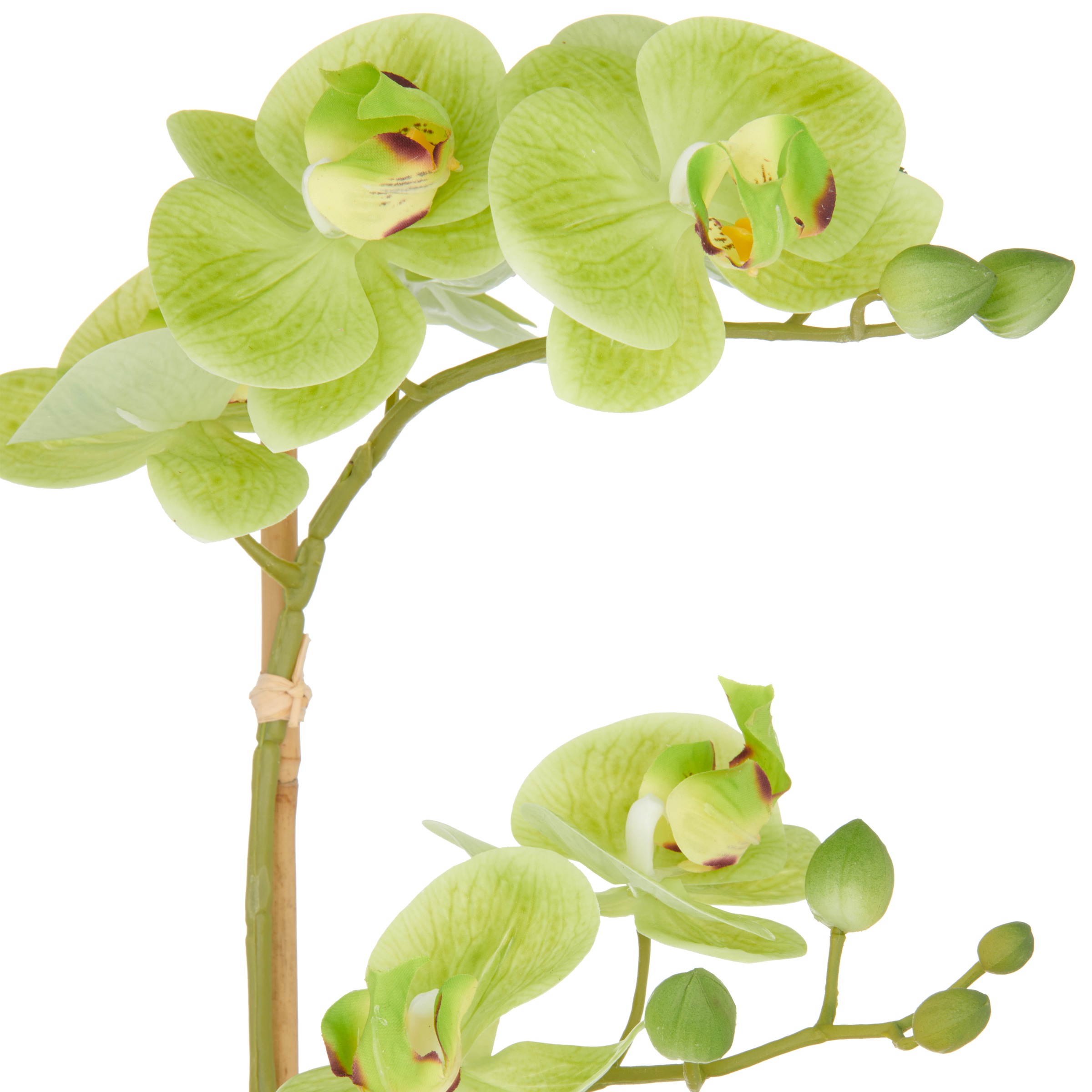 Creativ green Kunstorchidee "Orchidee Phalaenopsis", mit dauerhafter Blüten günstig online kaufen