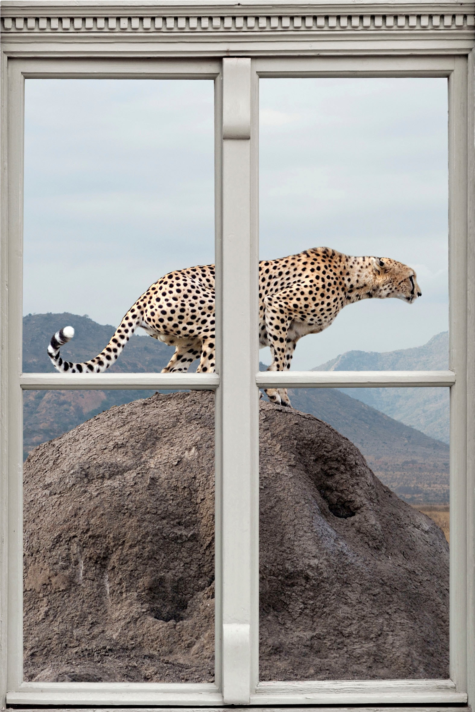 queence Wandsticker »Gepard«
