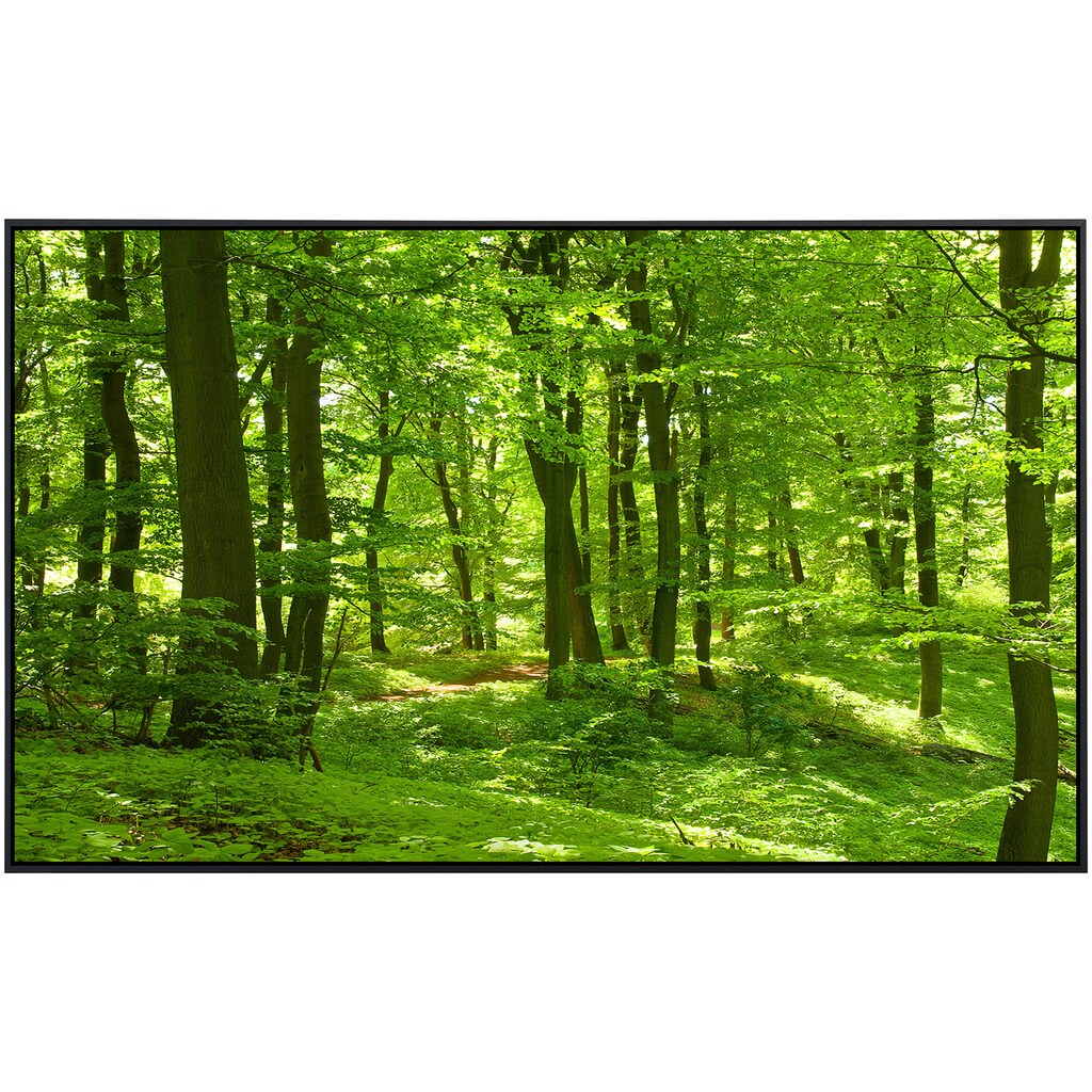 Papermoon Infrarotheizung »Wald im Frühling«