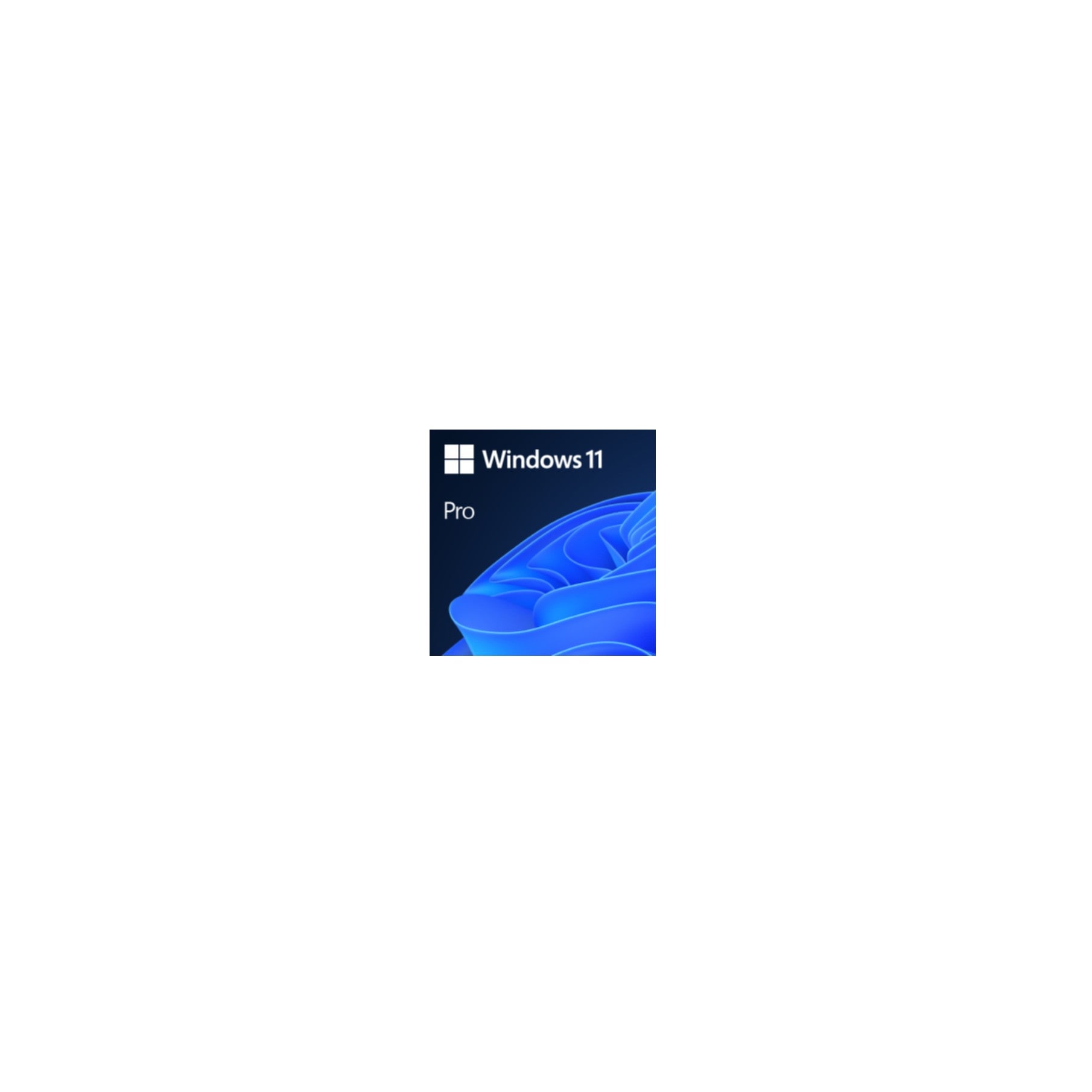 MICROSOFT Betriebssystem "Windows 11 Pro OEM", transparent, Software
