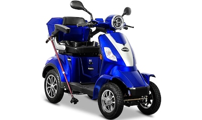 Elektromobil »Rolektro E-Quad 25 V.2, Blei-Gel-Akku«, 1000 W, 25 km/h, (mit Topcase)