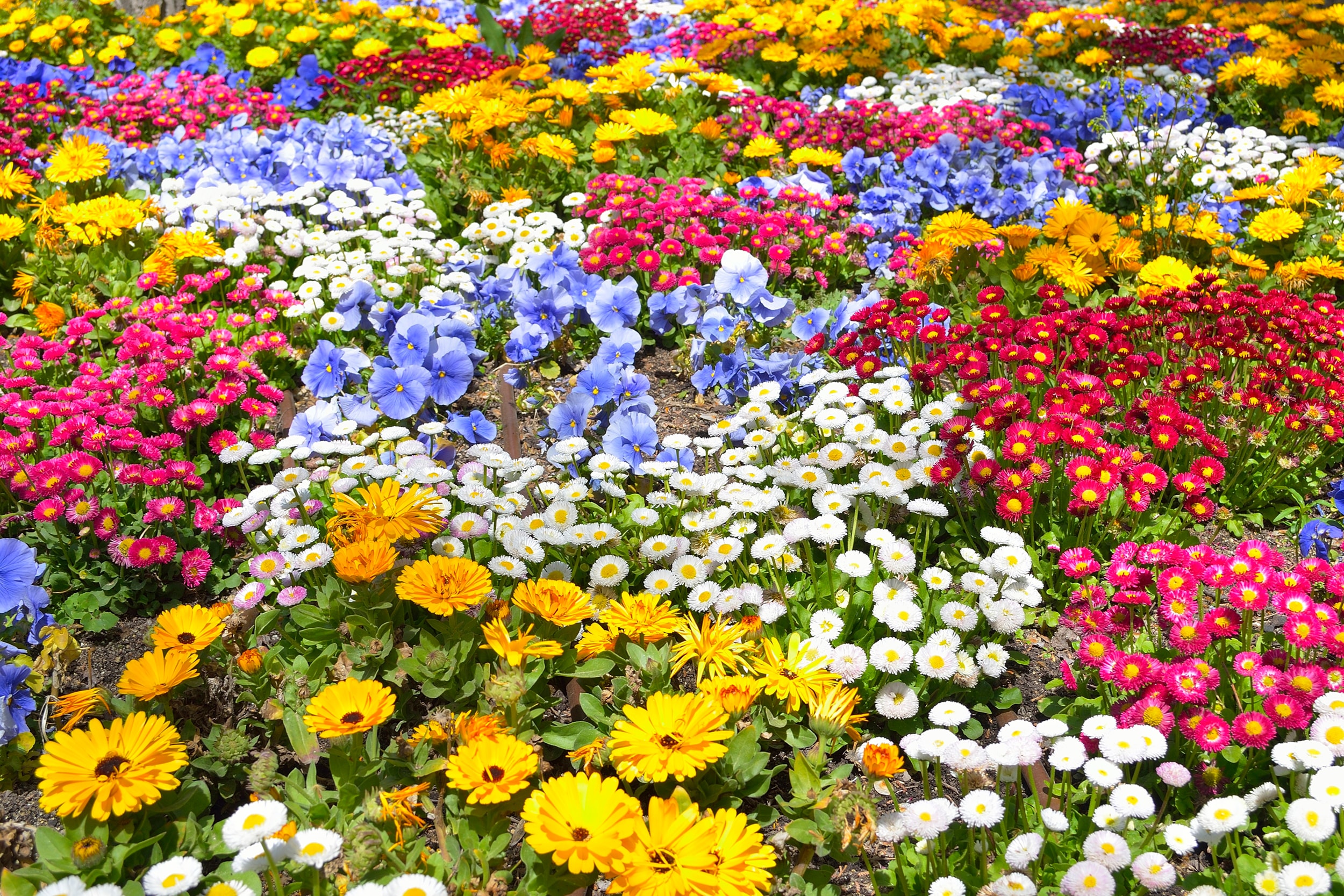 Papermoon "BLUMEN-GARTEN-WIESE PFLANZE JASMIN BLÜTEN BUNT ORCHIDEE"