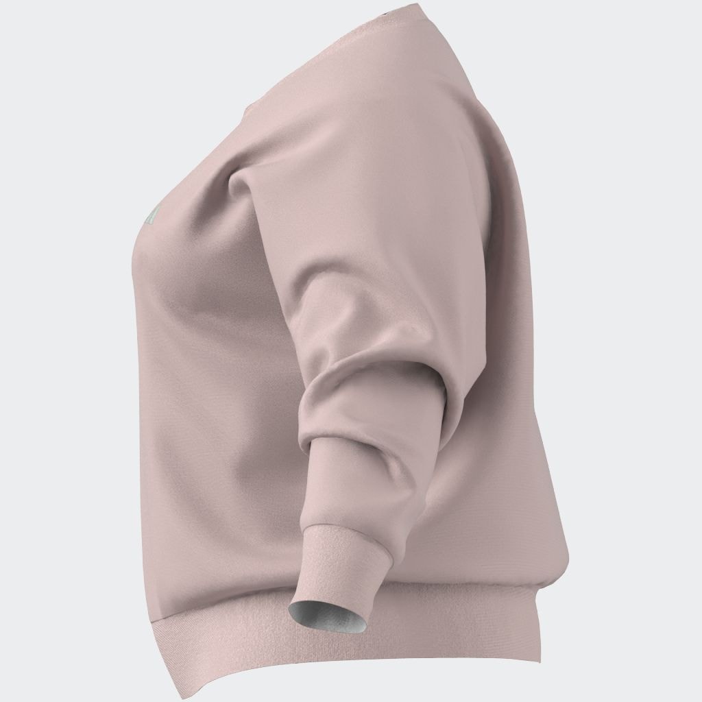 adidas Sportswear Sweatshirt »W SL FC SWT IN«