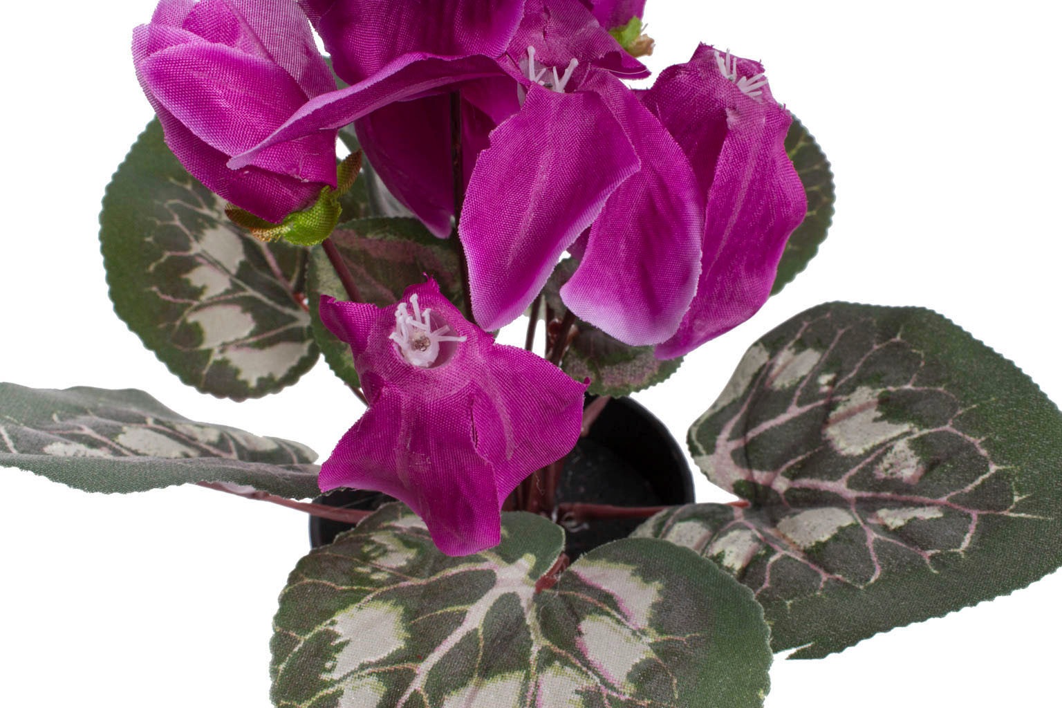 Botanic-Haus Kunstblume "Alpenveilchen" günstig online kaufen