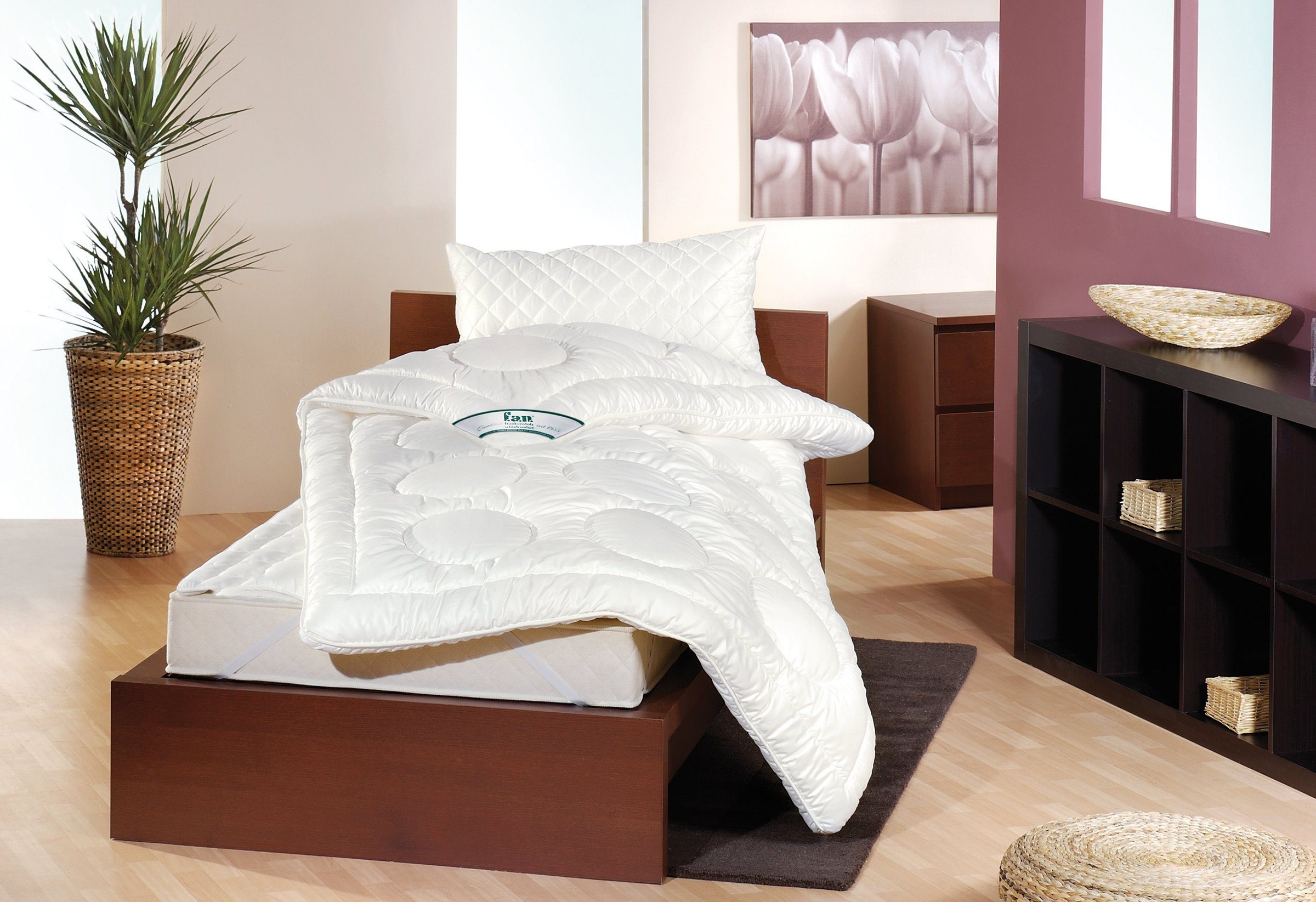 fan Kunstfaserkopfkissen "KS Baumwolle" Füllung: 100% Polyester 1 Stk. tlg. günstig online kaufen