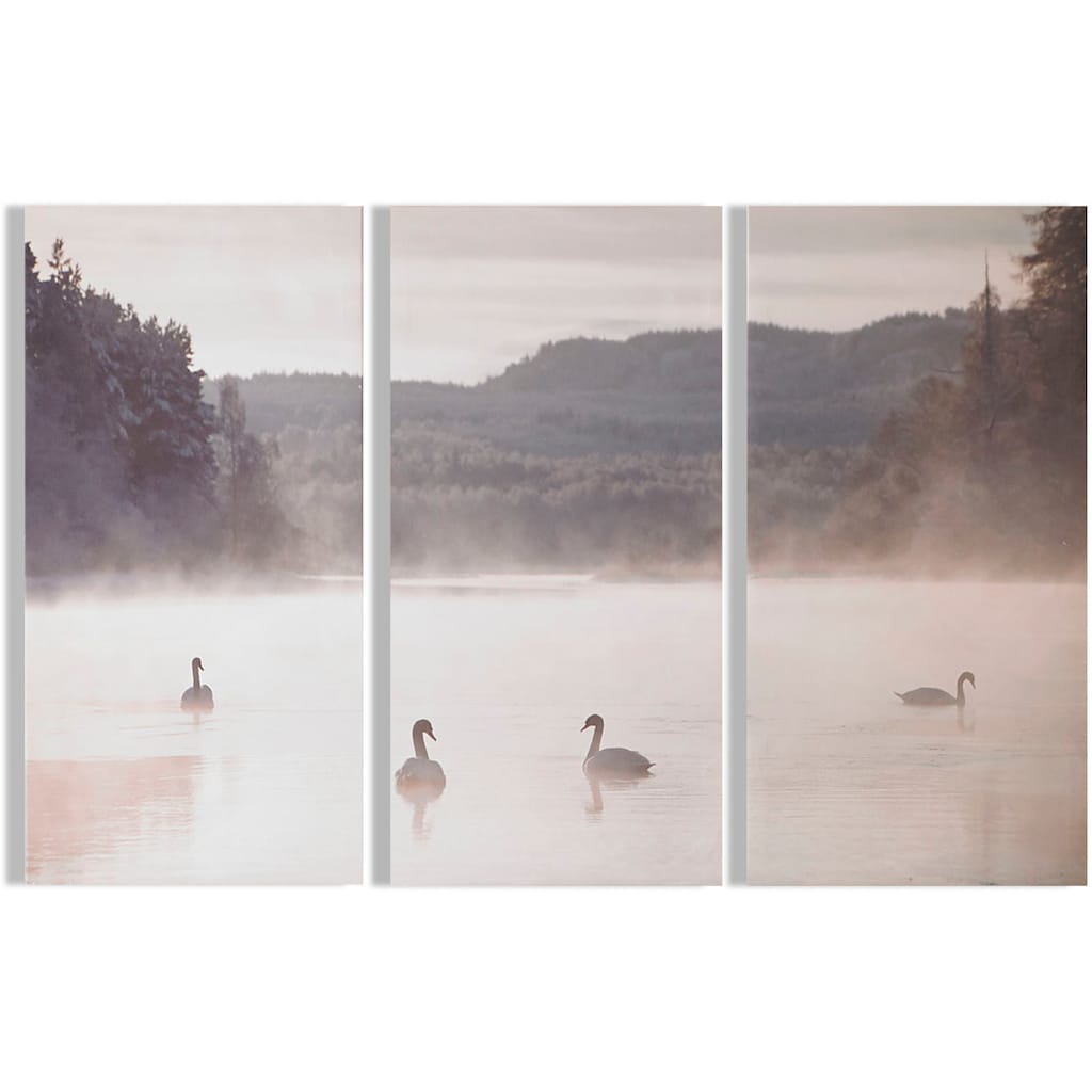 Art for the home Leinwandbild »Swan Lakeside«, Seelandschaft, (Set, 3 St.)