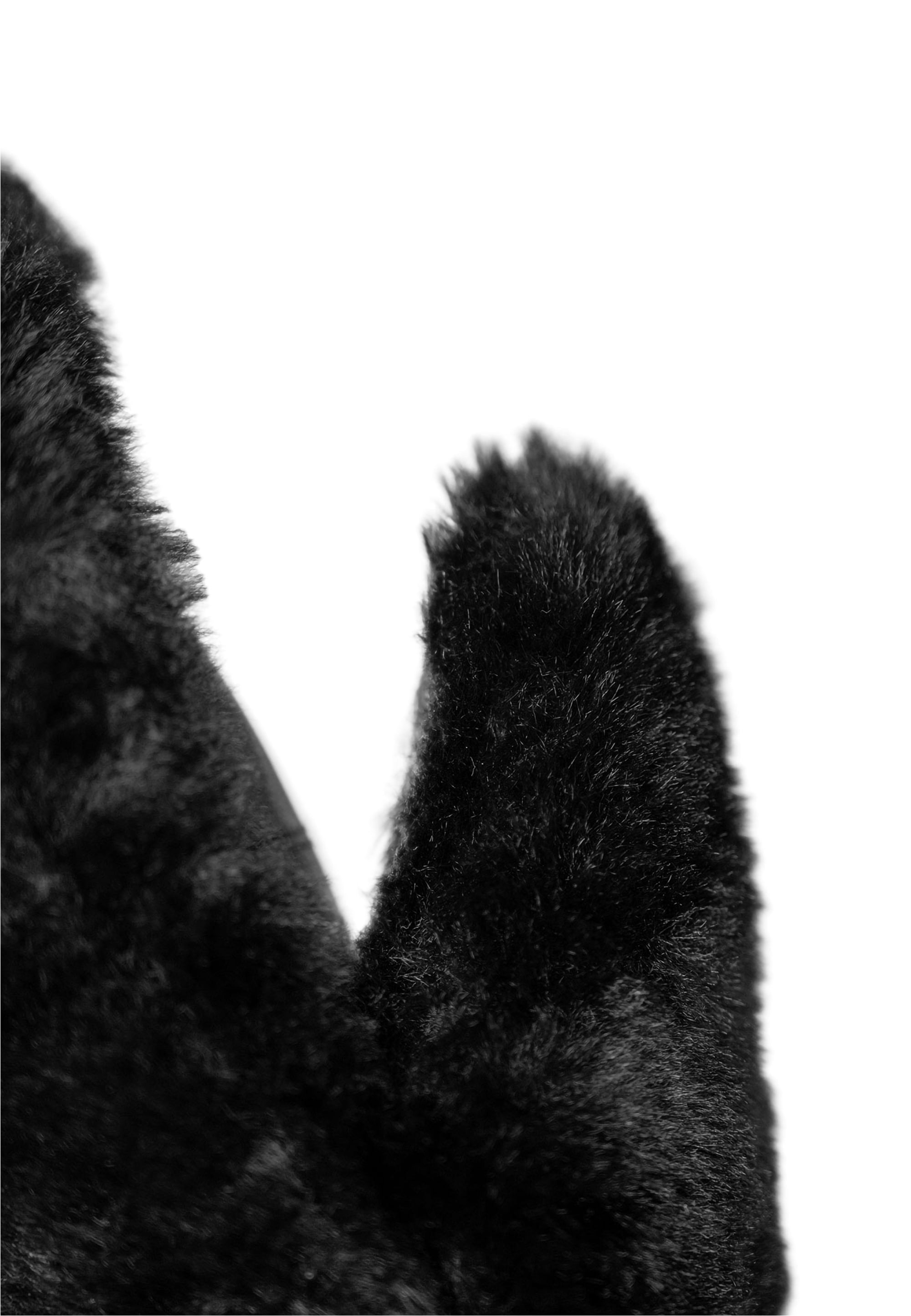 Reusch Fäustlinge »Molly R-TEX® XT Mitten«, mit wind- und wasserdichter R-TEX® XT Membran
