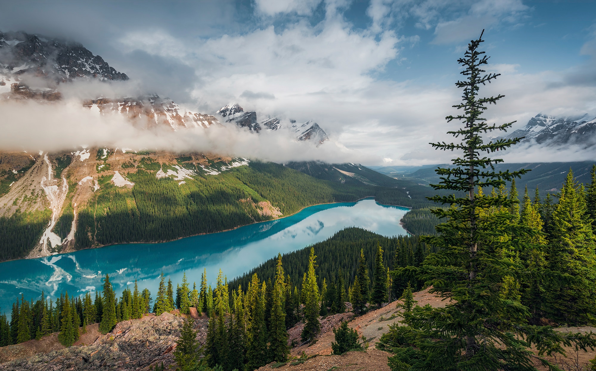 Komar Vliestapete »Wonderland Canada« 450x28...