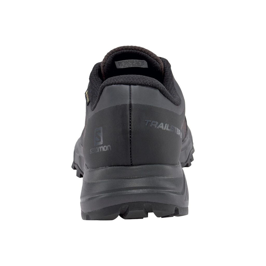 Salomon Trailrunningschuh »TRAILSTER 2 GORE-TEX®«, wasserdicht