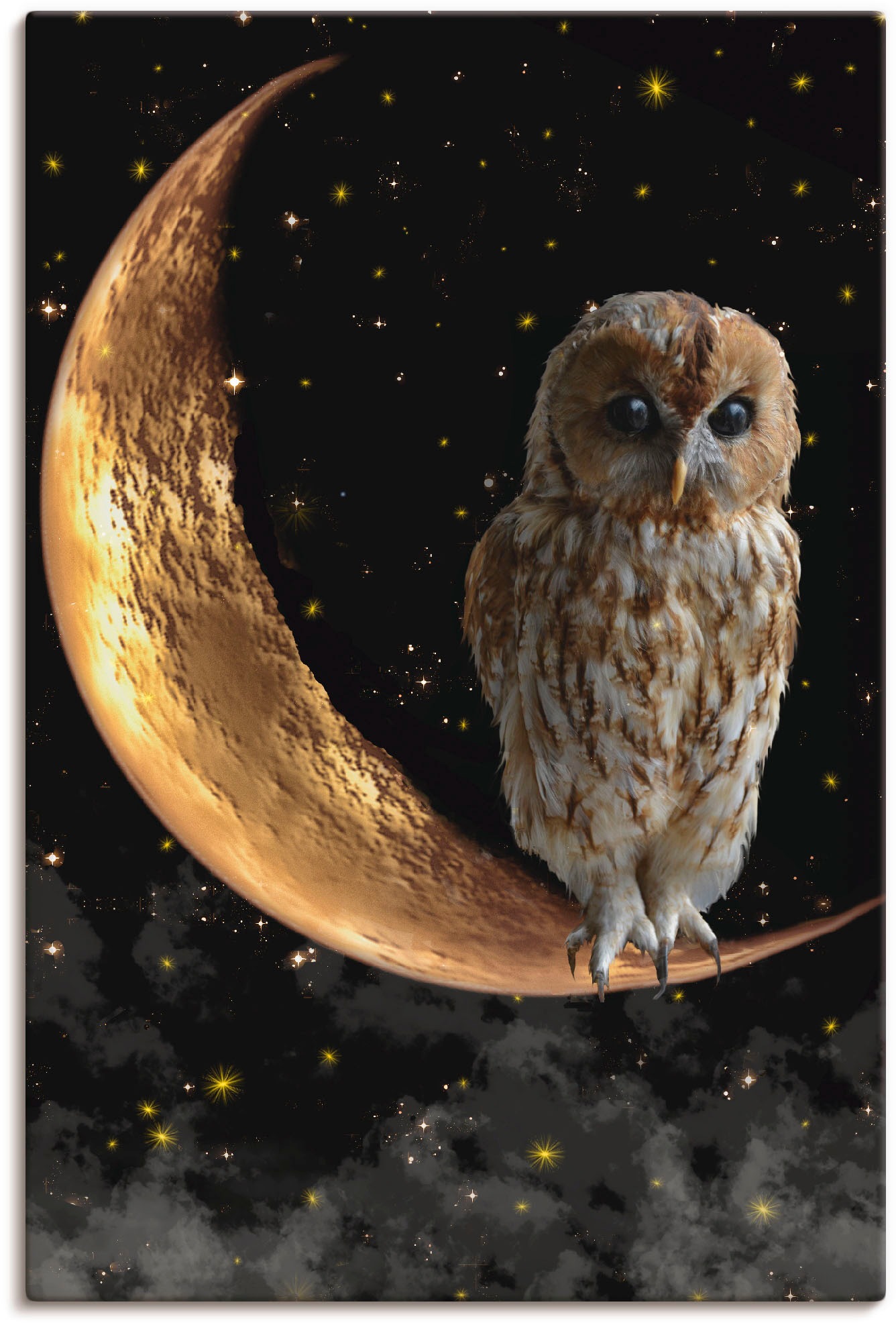 Artland Wandbild "Nachteule" Vögel 1 Stk. tlg. als Alubild, Leinwandbild, Poster in verschied. Größen