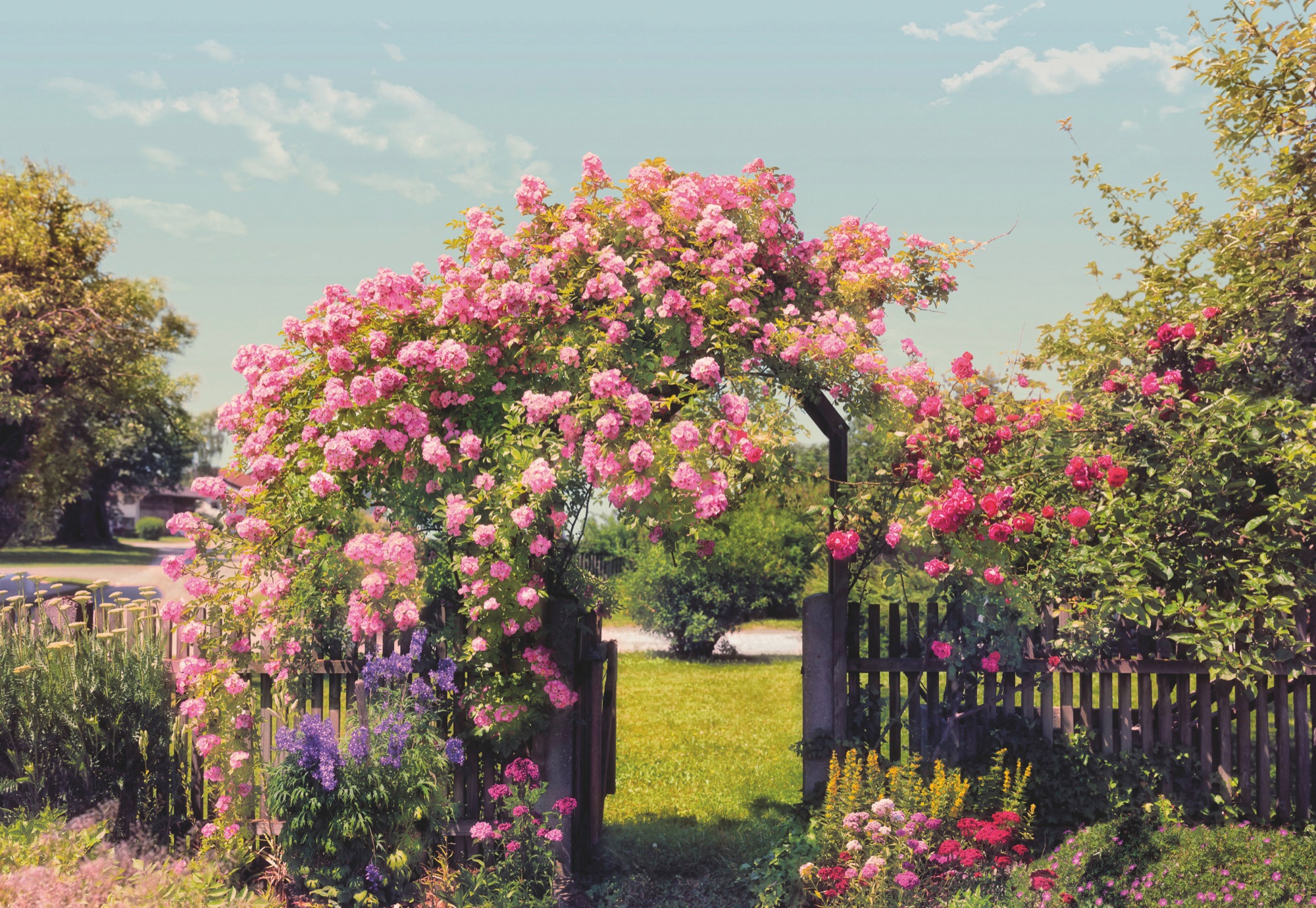 Fototapete »Rose Garden«, 368x254 cm (Breite x Höhe), inklusive Kleister