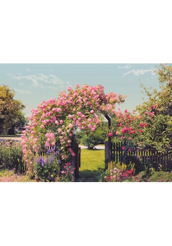 Komar Fototapetas »Rose Garden« 368x254 cm (...