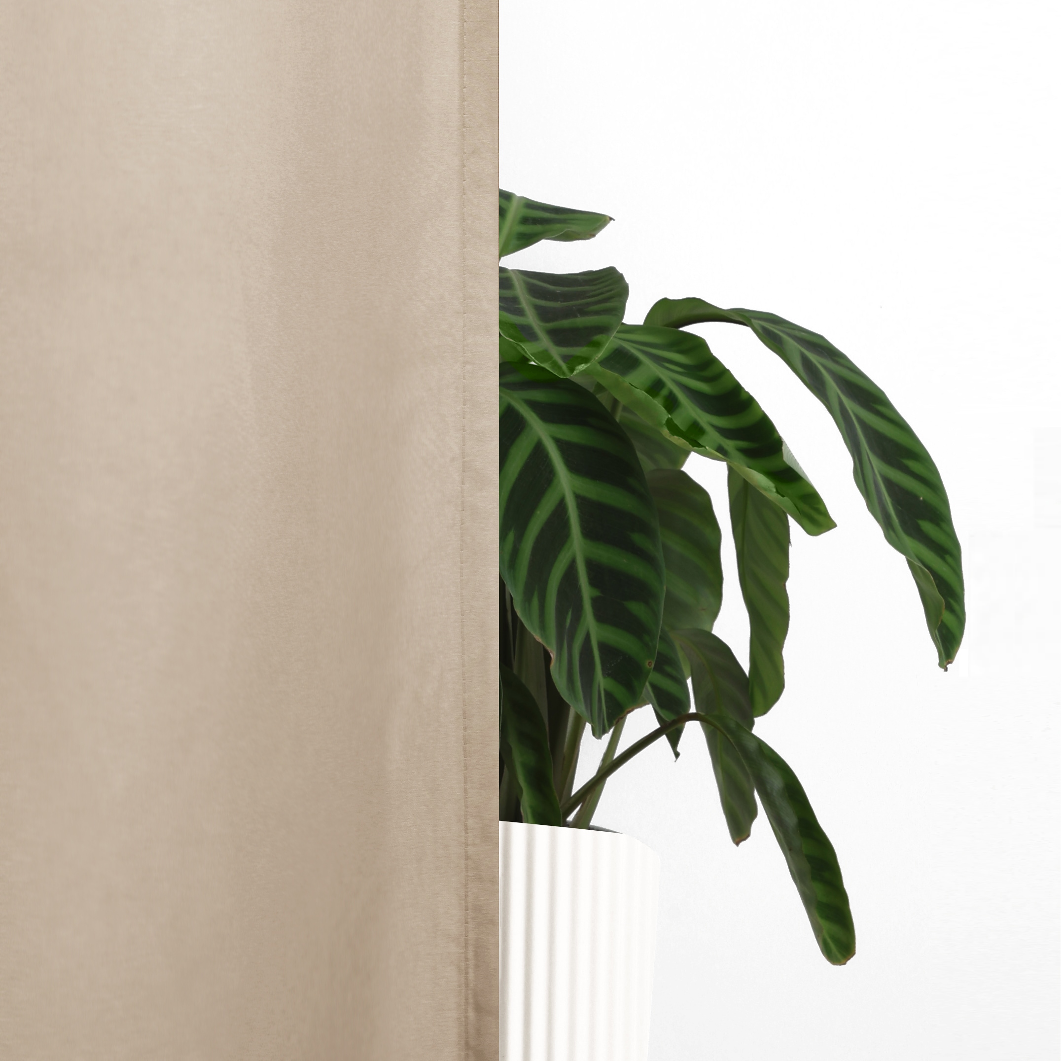 OTTO home Vorhang »Raja« Ösen 2 Stk. tlg. Blickdichtes Material, Einfache Montage, Pflegeleicht, Ösen Aufhängung