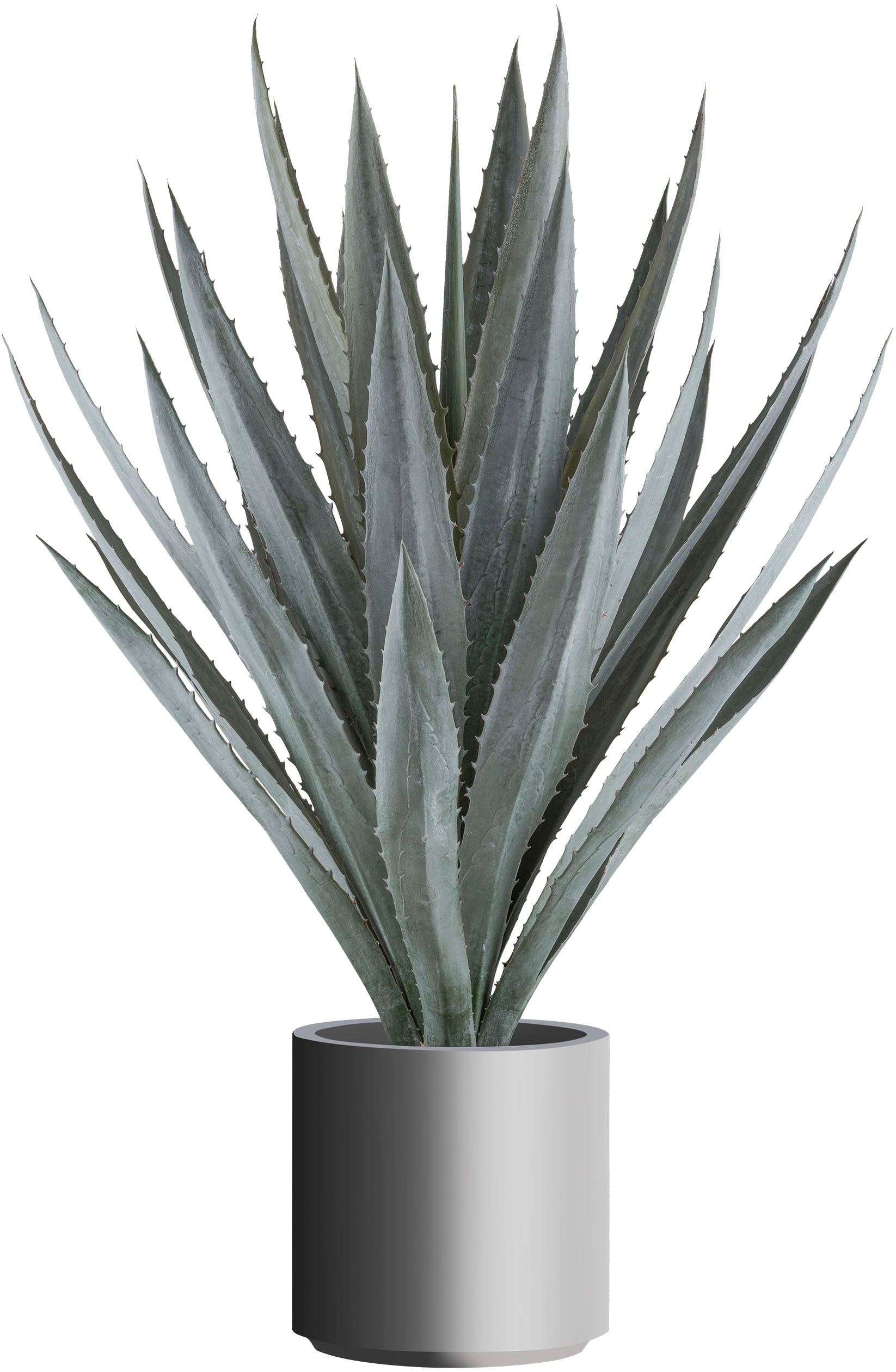 Kunstpflanze »Agave«, im eleganten grauen Topf