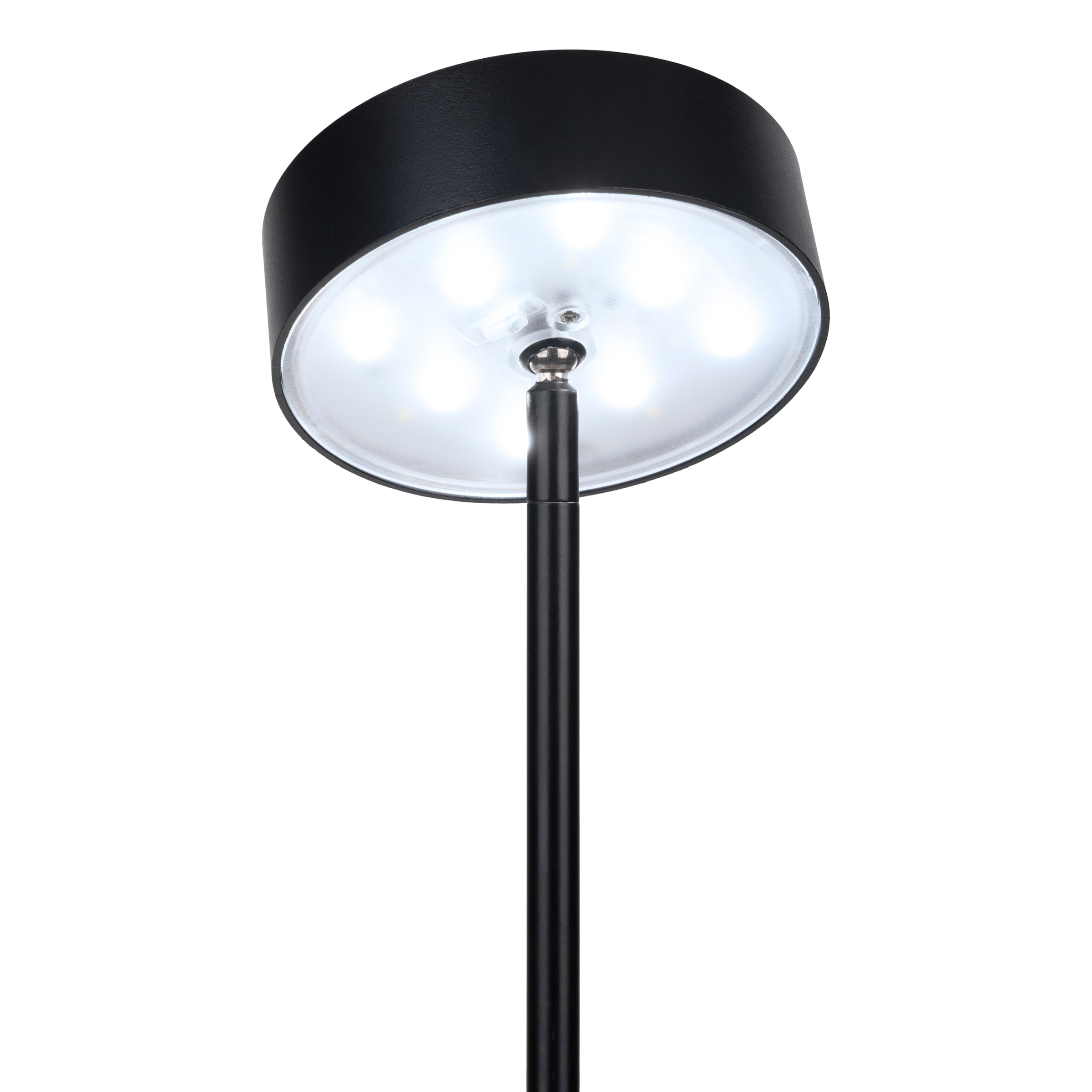 näve LED Solarleuchte »Laupheim« LED-Modul 1 Stk. warmweiß - kaltweiß LED Dekoerdspieß H: 56cm, schwarz, CCT, Schiebeschalter, Schirm rund