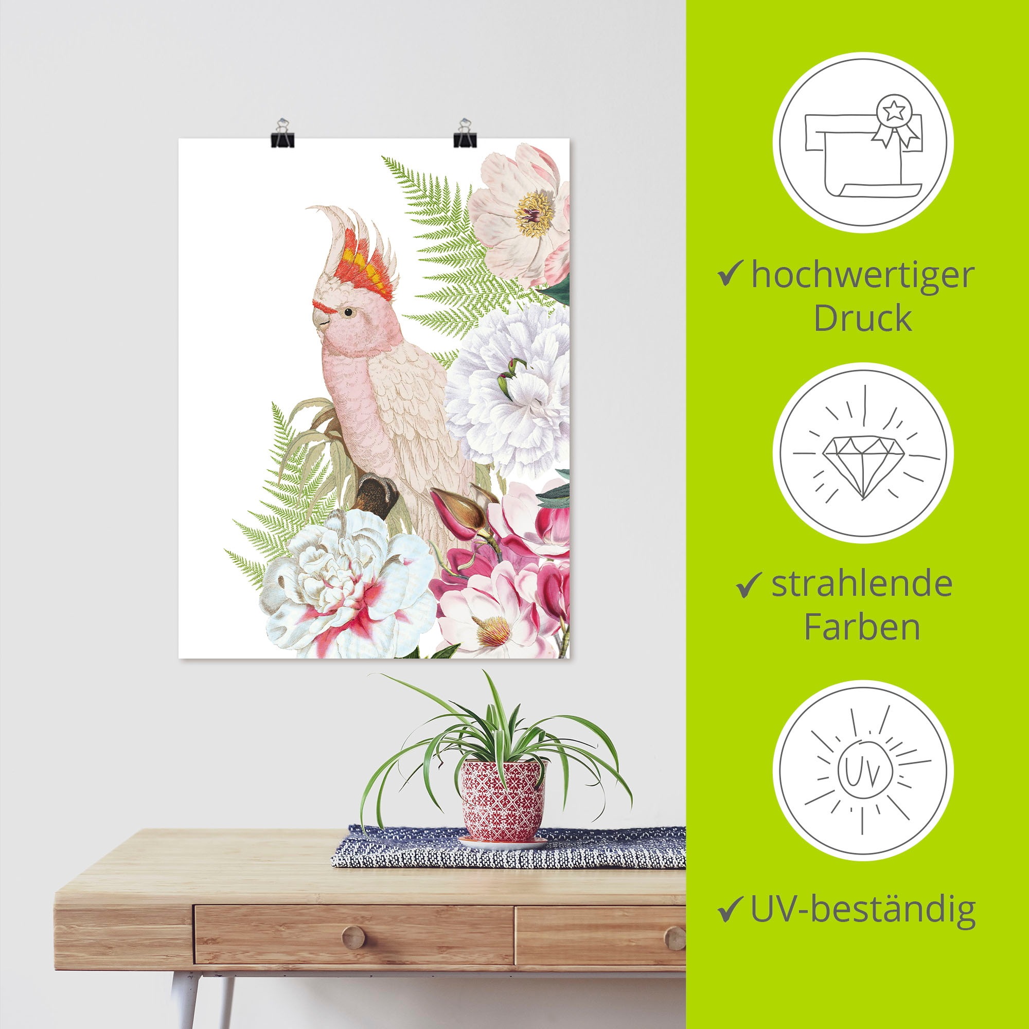 Artland Wandbild »Vintage Papagei II«, Vogelbilder, (1 St.), als Leinwandbild, Poster, Wandaufkleber in verschied. Größen