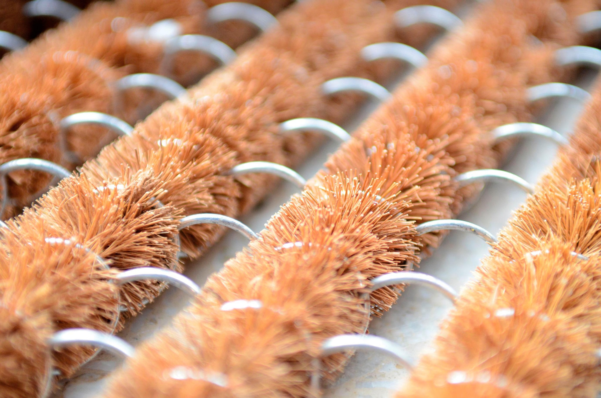 ASTRA Fußmatte »Coco Brush 561«, rechteckig, 32 mm Höhe, Schmutzfangmatte, In -und Outdoor geeignet