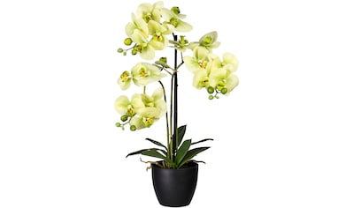 Kunstorchidee »Phalaenopsis«