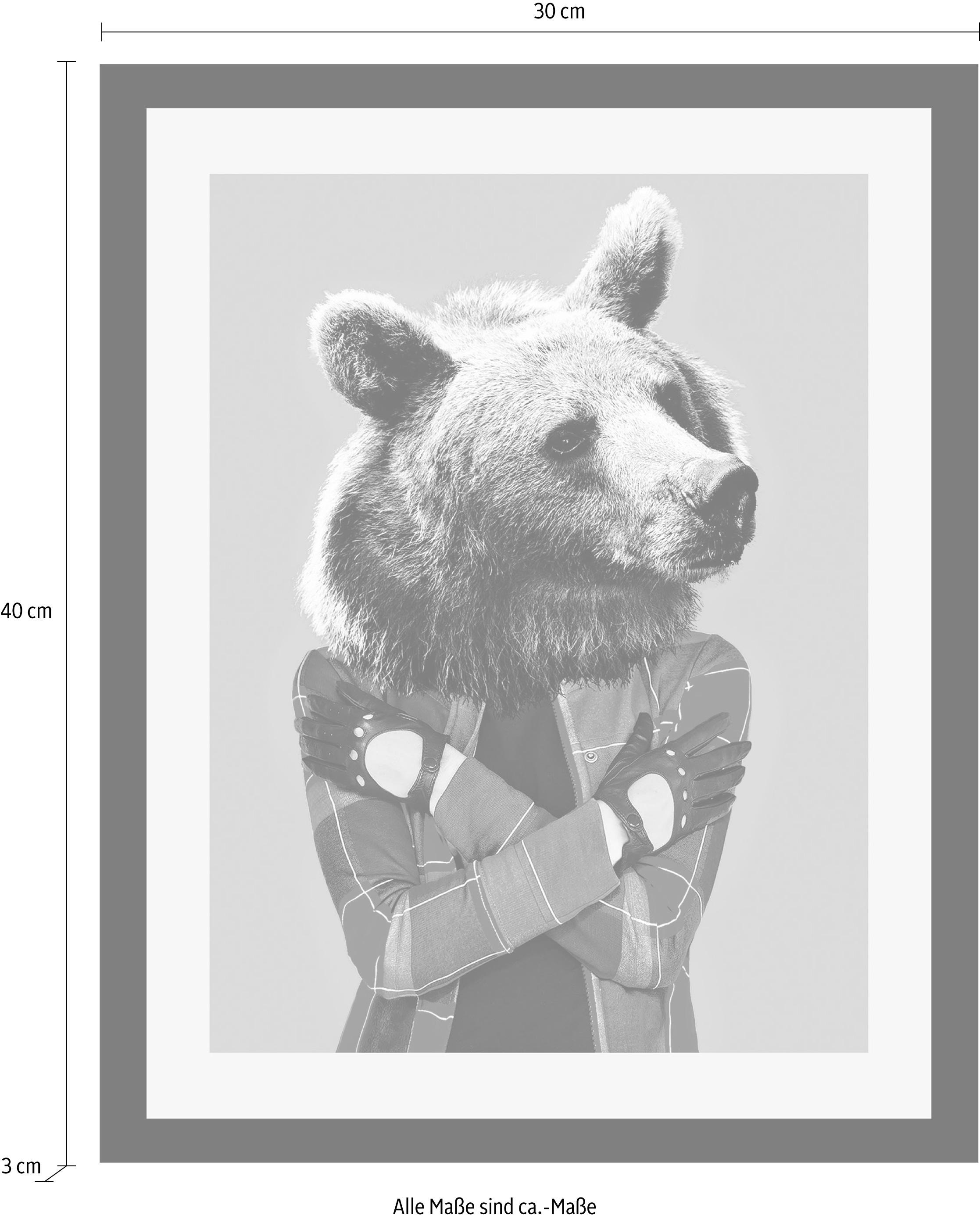 queence Bild »Bär« Art | Bär | Foto | Humor | Kunst | Tiere HD Premium Poster-Druck inkl. Holzrahmen