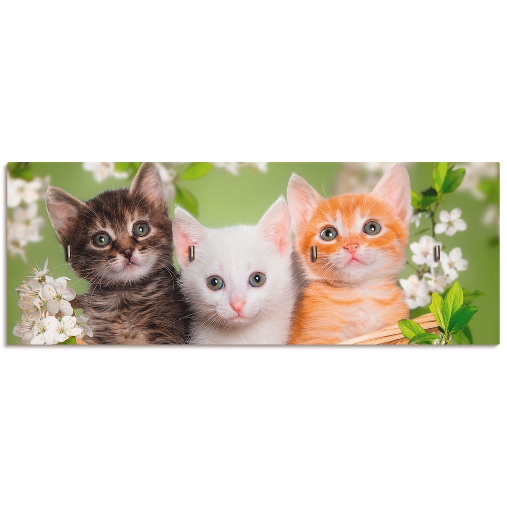 Artland Hakenleiste »Katzen sitzen in einem Korb«