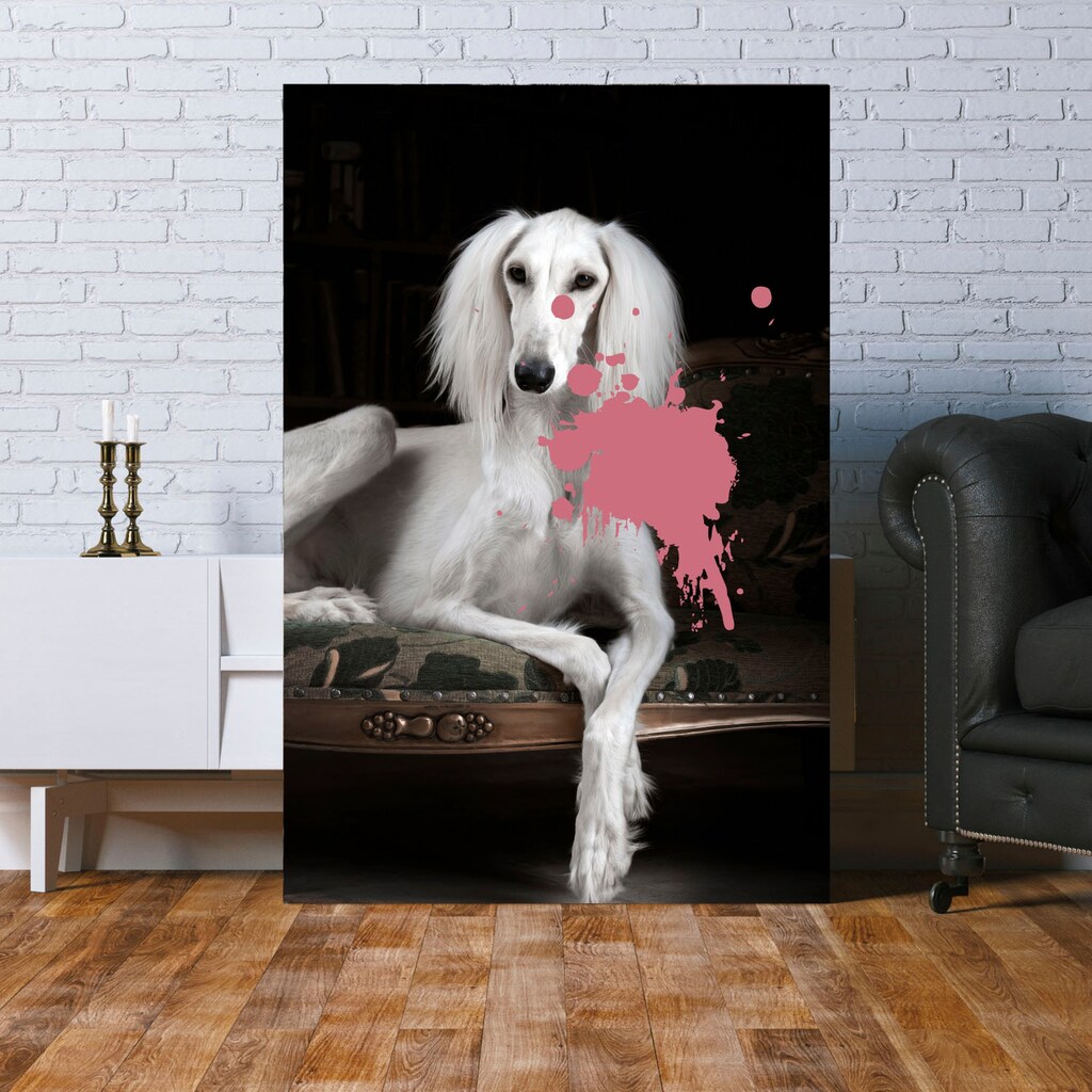 queence Acrylglasbild »Hund«