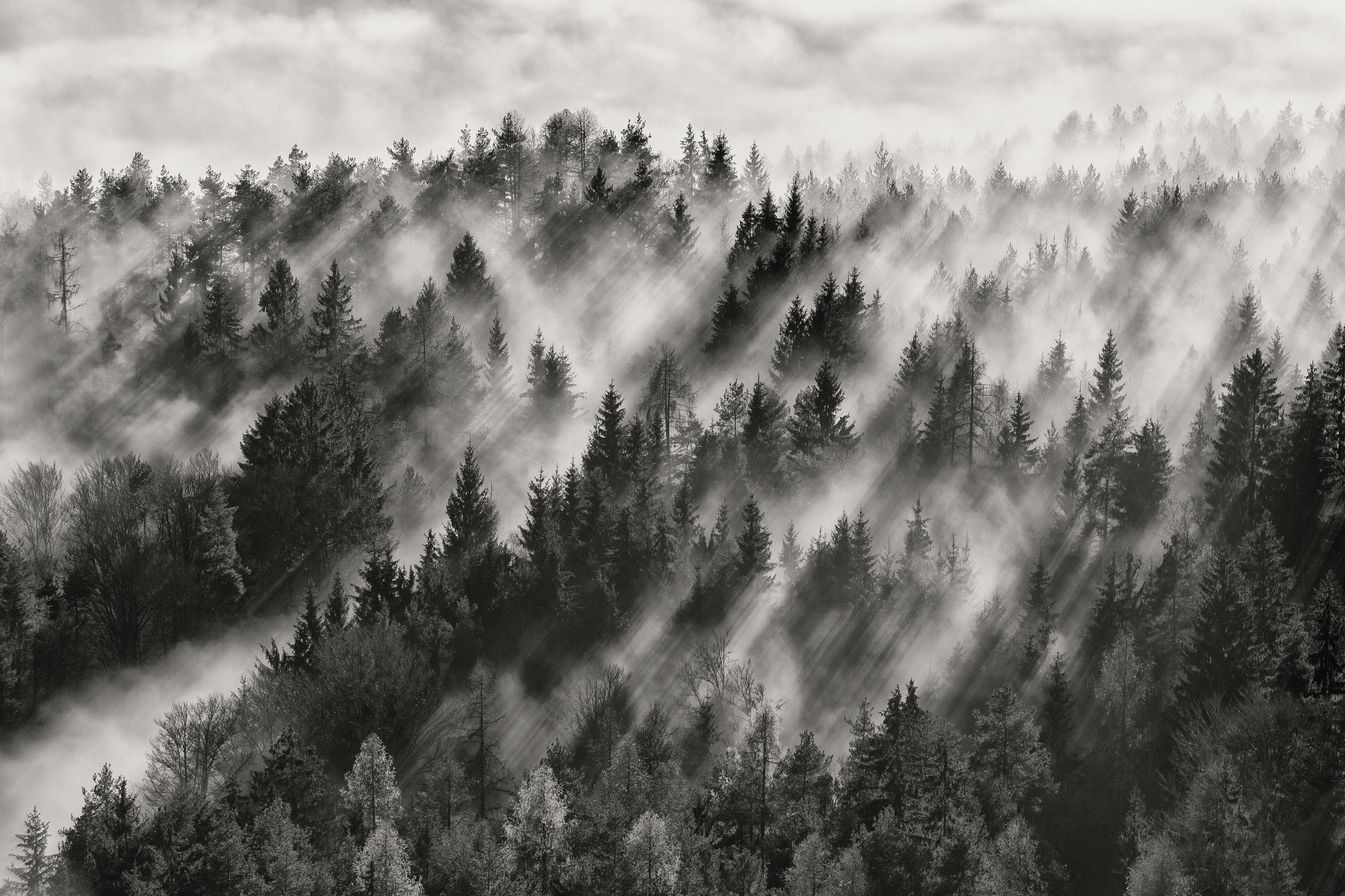 Papermoon Fototapete "Photo-Art DAVORIN BALOH, SUNDANCE NR1"