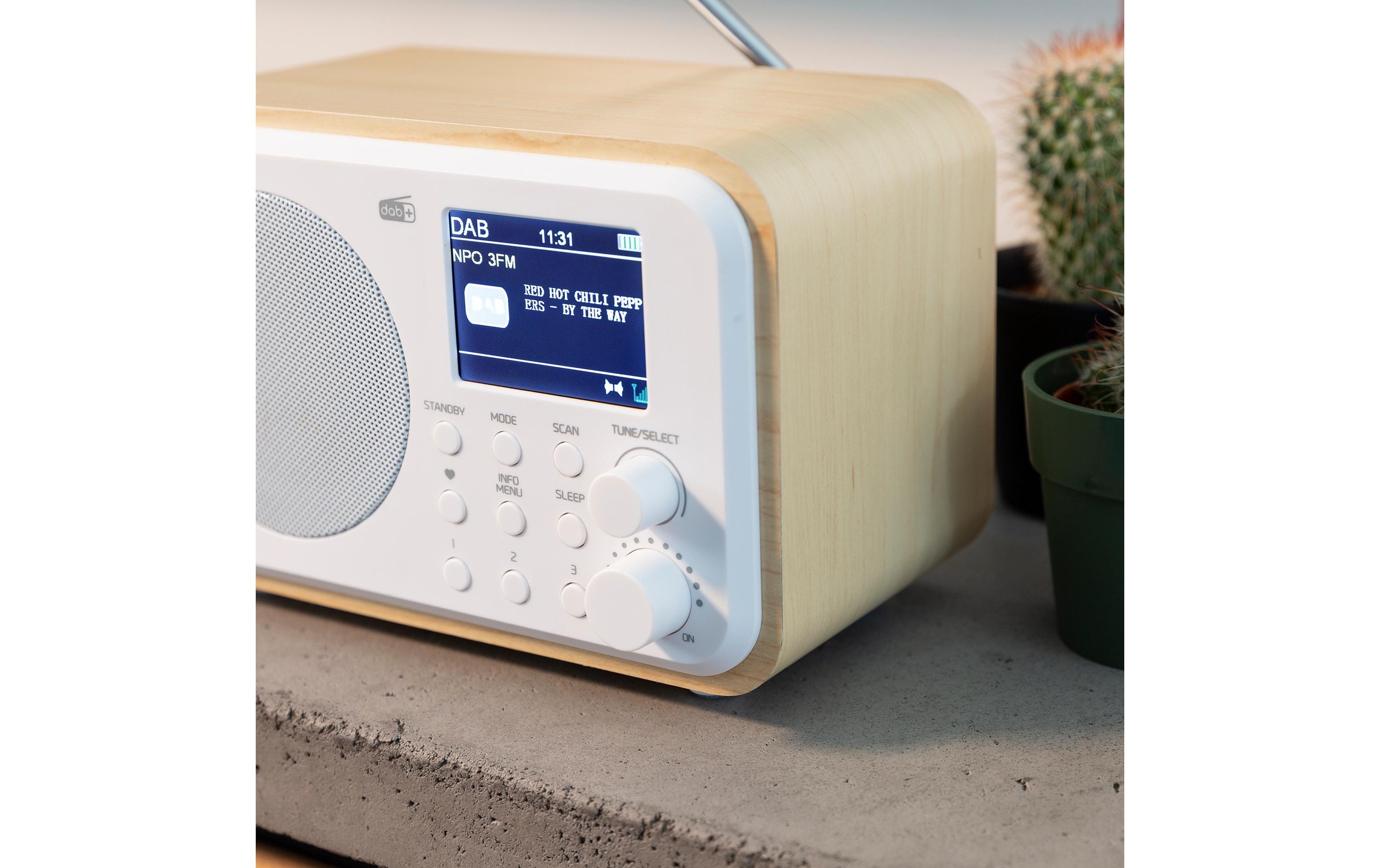 AUDIZIO Digitalradio (DAB+) »Milan« ( Digitalradio (DAB+) | FM-Tuner )