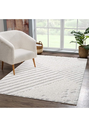 Carpet City Ilgo plauko kilimas »FOCUS749« rechtec...