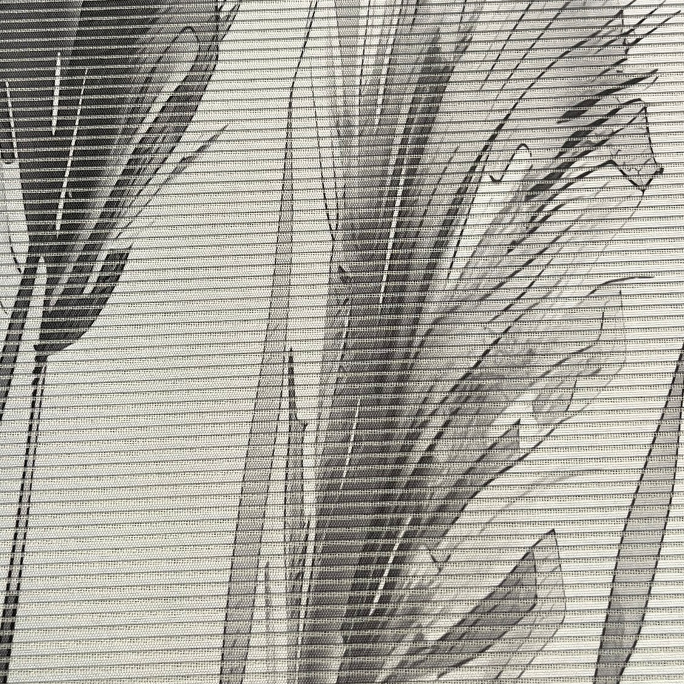 Vision S Schiebegardine »AUREA« Paneelwagen 1 Stk. tlg. digital bedruckt