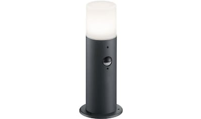 TRIO Leuchten Sockelleuchte »HOOSIC«, 1 flammig-flammig, inkl. Bewegungsmelder kaufen