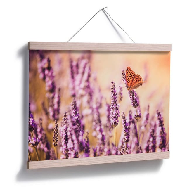 Wall-Art Poster »Schmetterling Lavendel«, Schmetterlinge, (1 St.), Poster,  Wandbild, Bild, Wandposter bestellen | BAUR