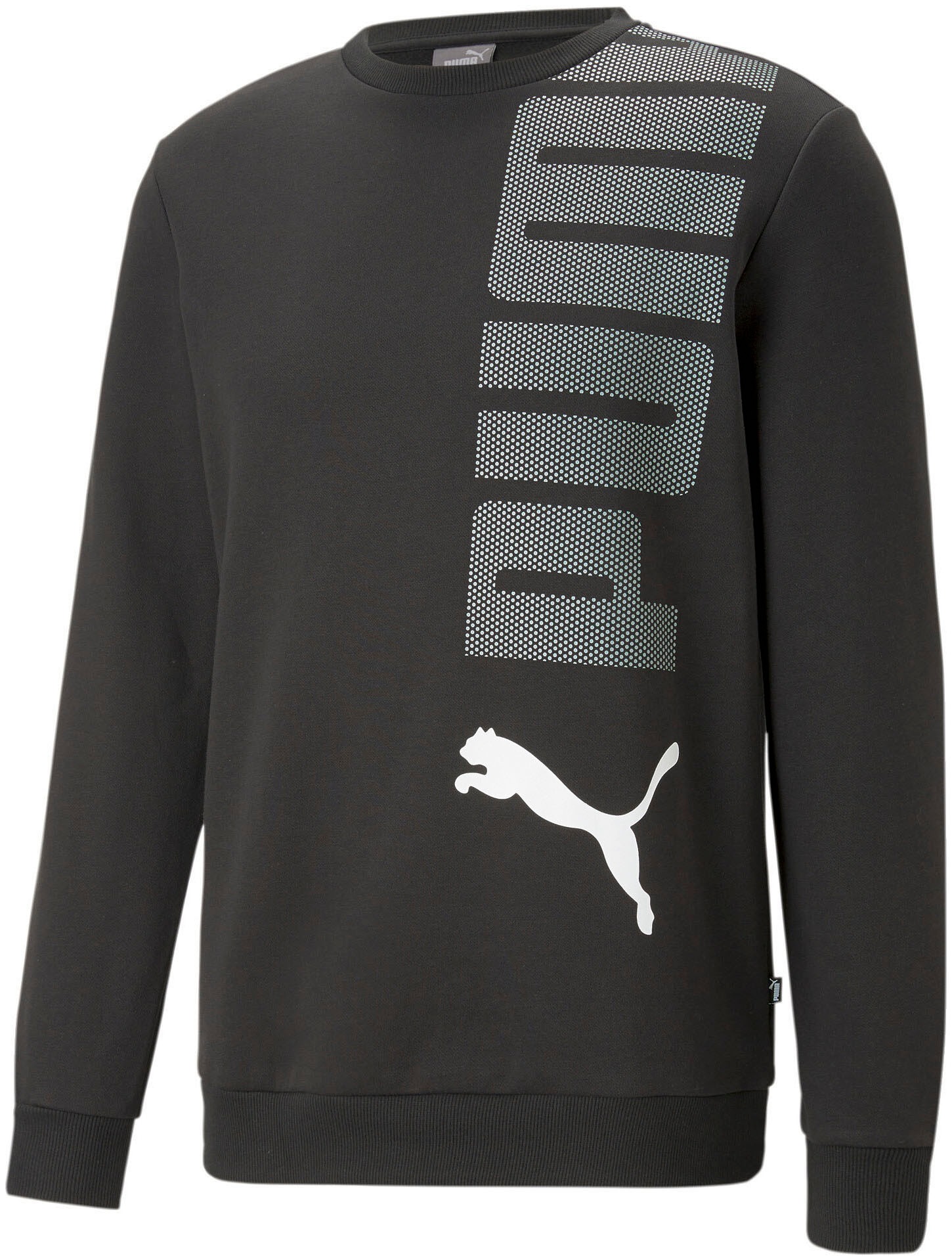 PUMA Sweatshirt »ESS+ LOGO LAB Crew FL«