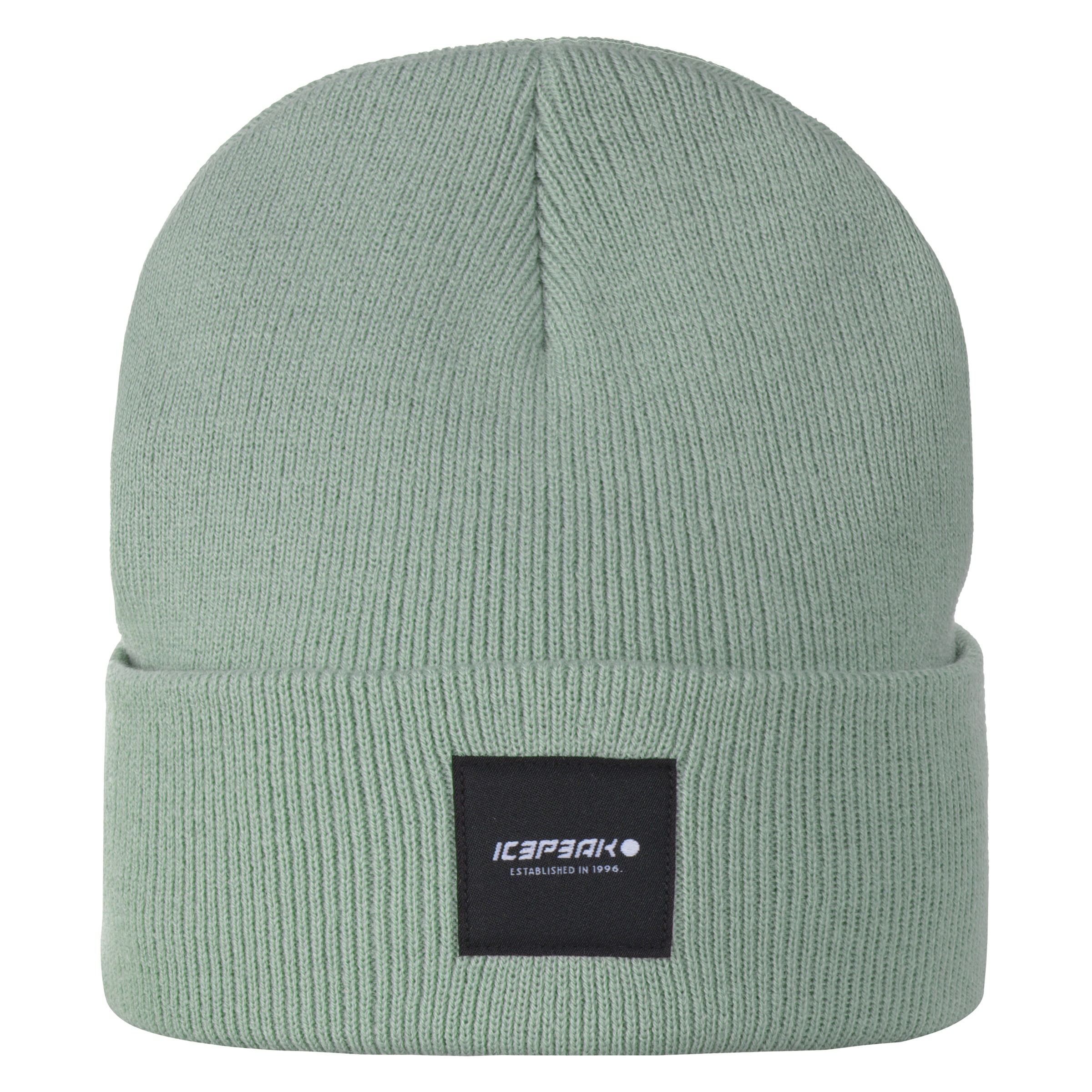 Icepeak Beanie "BEANIE HARCOURT" günstig online kaufen