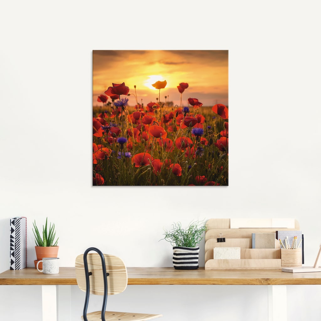 Artland Glasbild »Mohnblumen im Abendlicht«, Blumen, (1 St.)