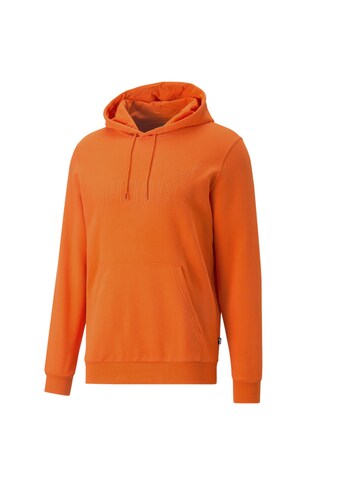 PUMA Sweater »Essentials+ Hoodie Herren« kaufen