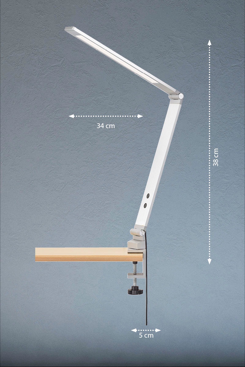 FISCHER & HONSEL LED Klemmleuchte »Geri«, 1 flammig, Leuchtmittel LED-Modul | LED fest integriert