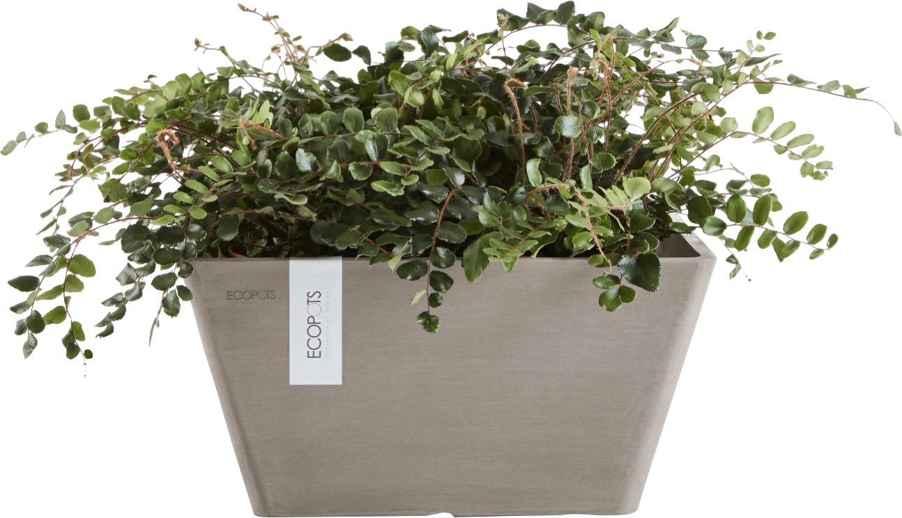 ECOPOTS Blumentopf »BERLIN Taupe«, BxTxH: 41x4118 cm