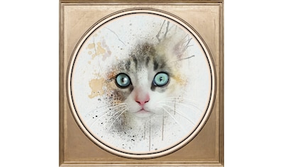 queence Acrylglasbild »Katze« kaufen