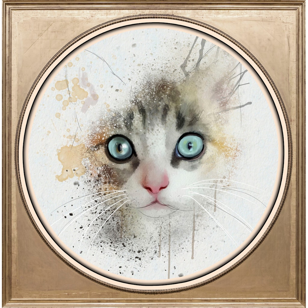 queence Acrylglasbild »Katze«