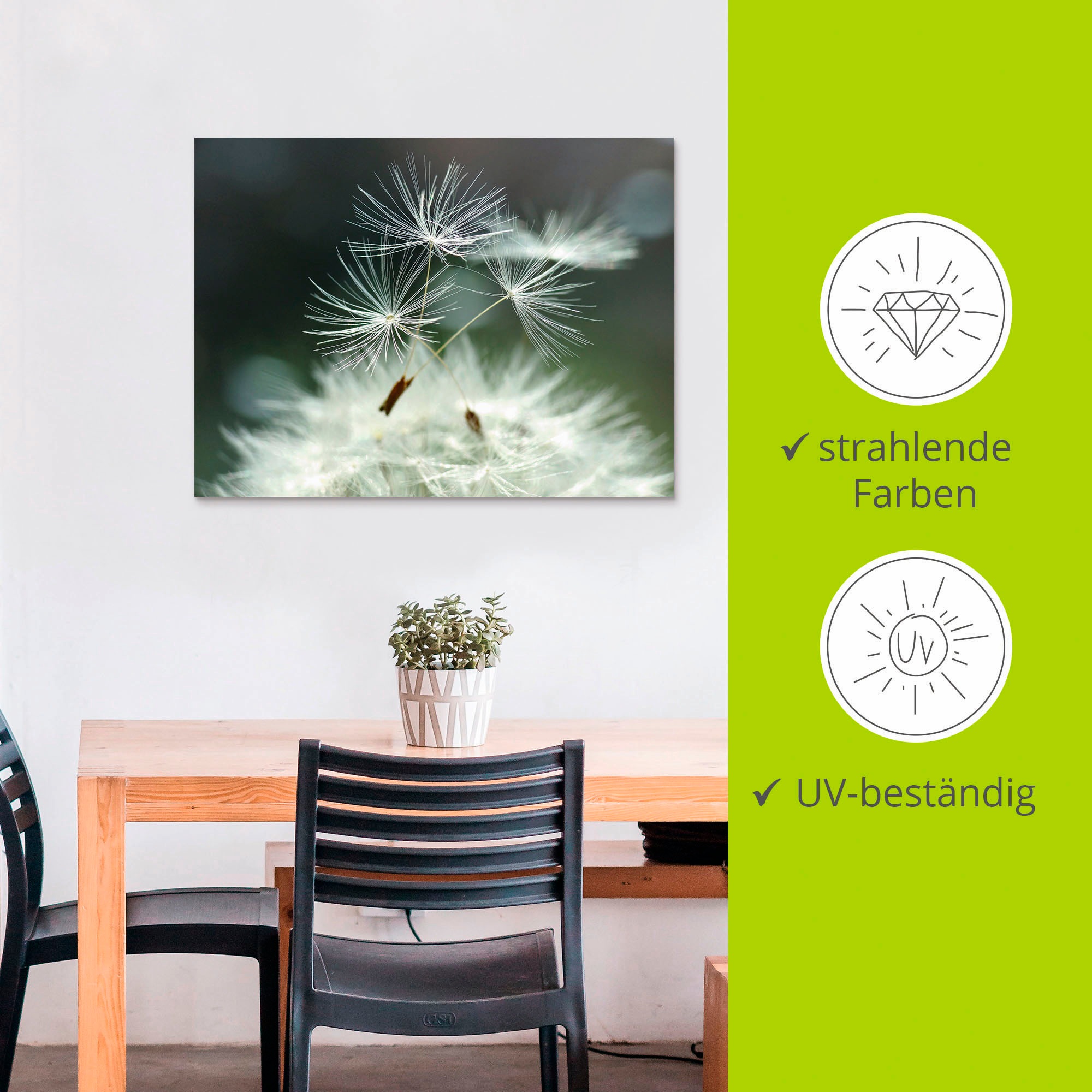 Artland Wandbild »Pusteblume Facility«, Blumen, (1 St.), als Alubild, Outdoorbild, Leinwandbild, Poster, Wandaufkleber
