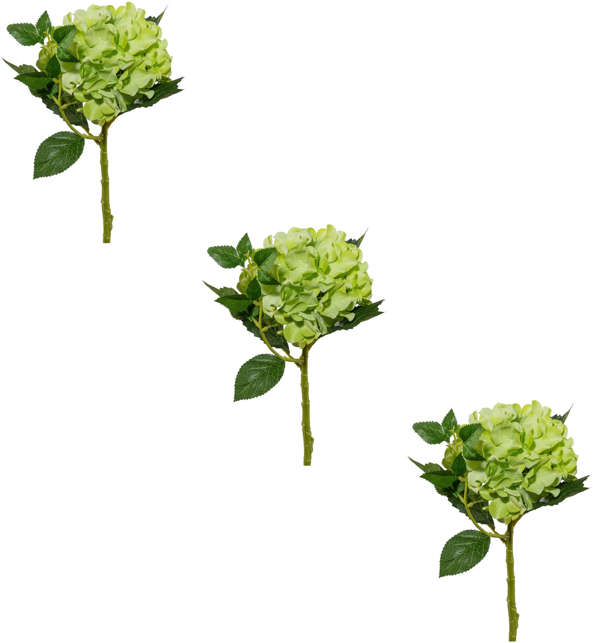 Creativ green Kunstblume »Hortensie«