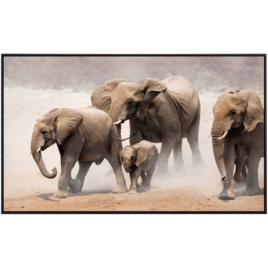 Papermoon Infrarotheizung »Elefantenherde«