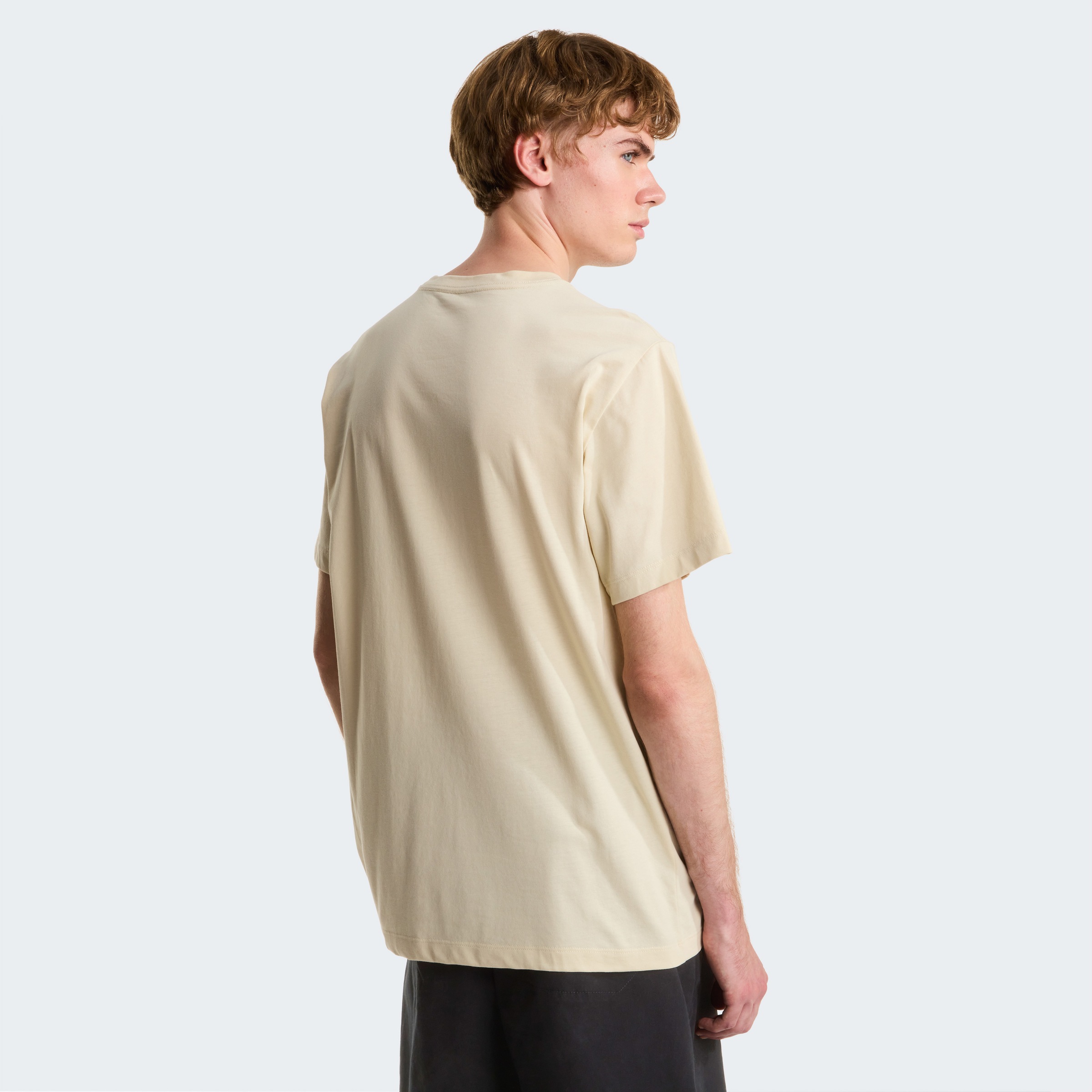 The North Face T-Shirt »M EVOLUTION SIMPLE DOME REGULAR SHORT SL« normale Passform, Kurzarm, für den Alltag, aus Poly-Baumwolle