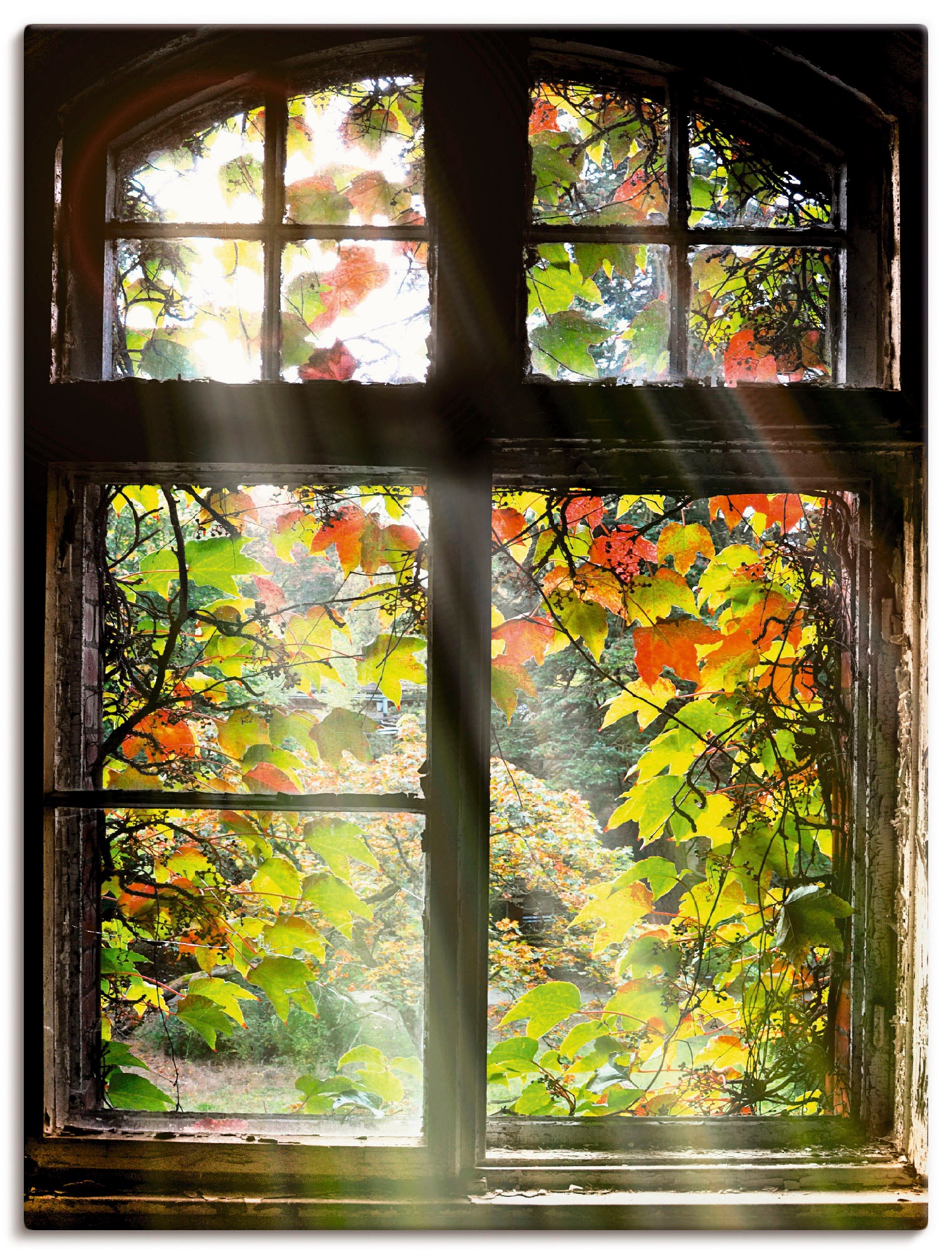 Artland Wandbild "Altbau" Fenster & Türen 1 Stk. tlg. als Alubild, Outdoorb günstig online kaufen