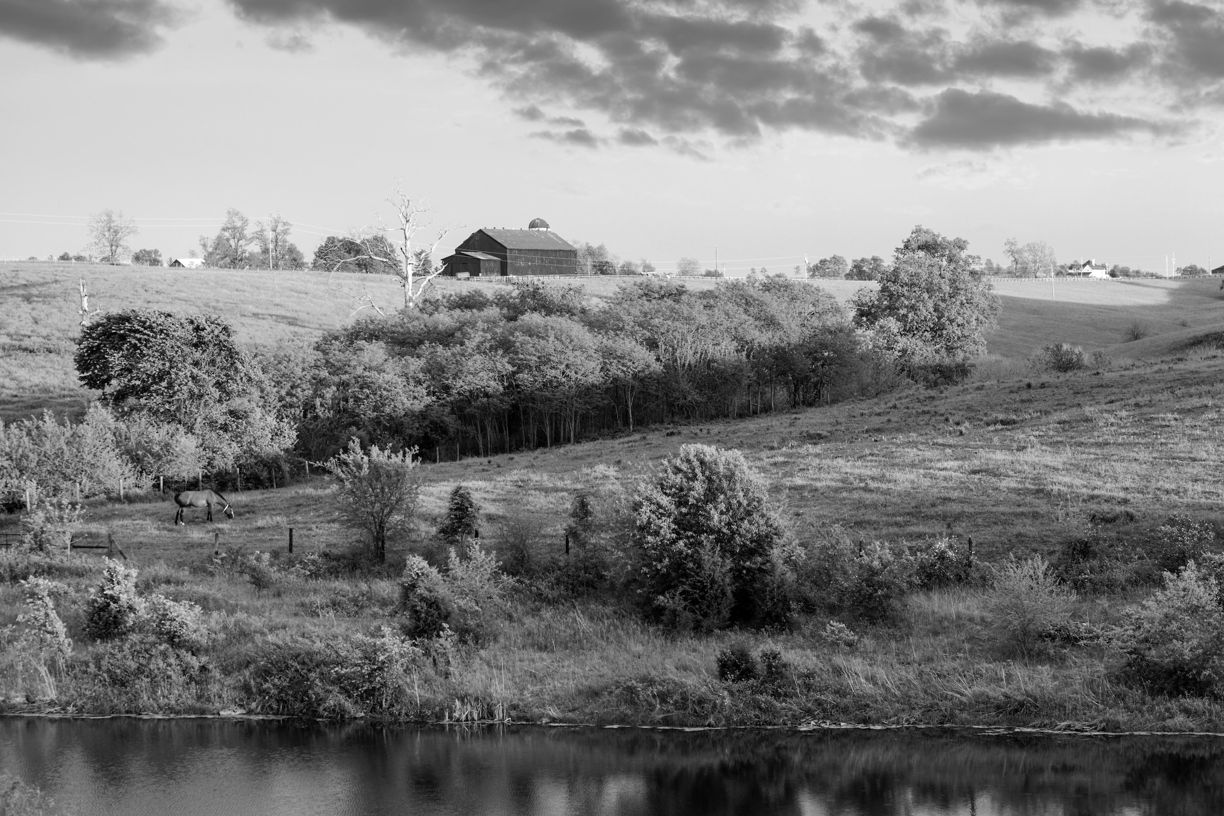 Papermoon Fototapete "Landschaft Schwarz & Weiß"