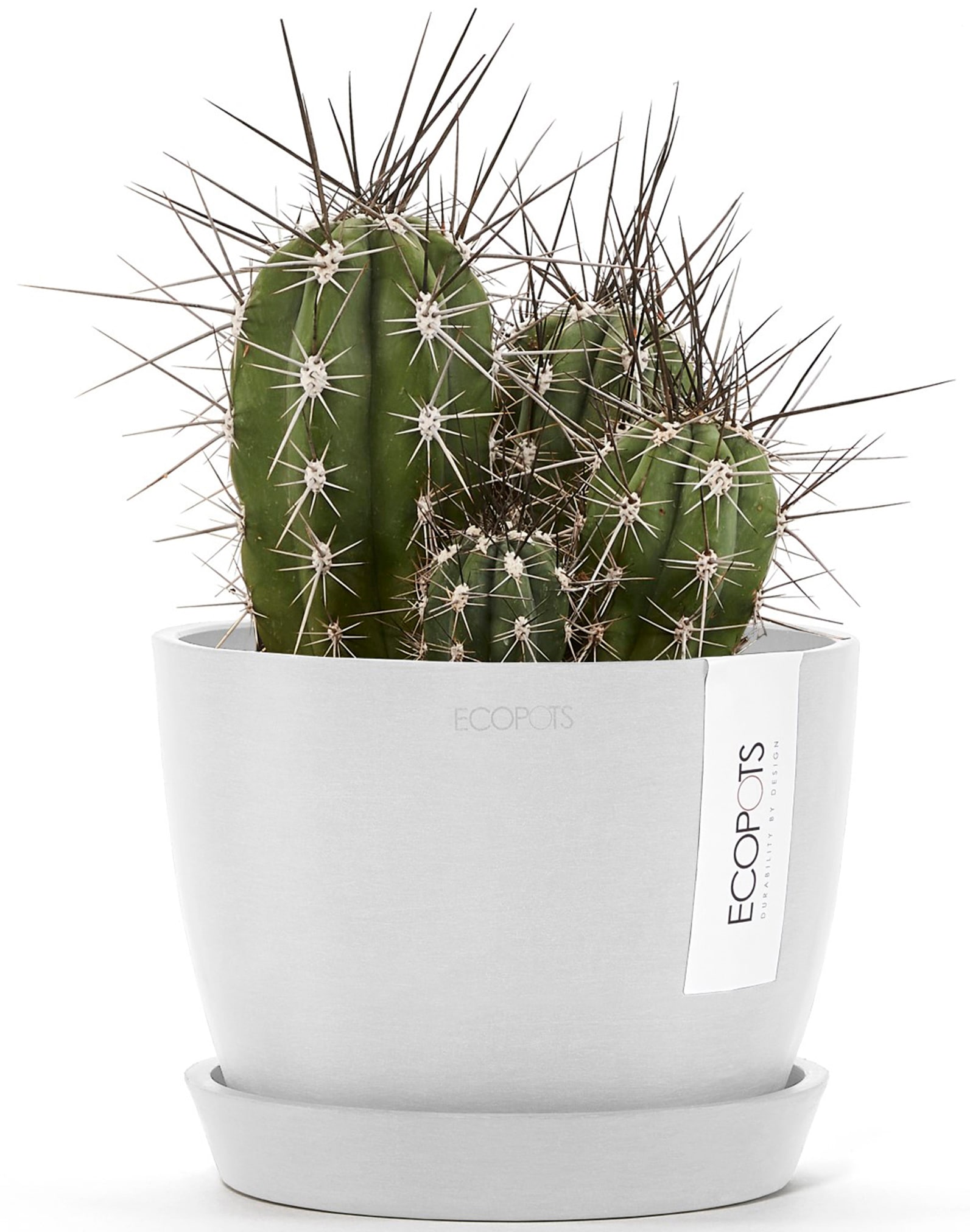 ECOPOTS Blumentopf »Stockholm Mini 16 Weiß«, für innen und außen: frostsicher, bruchsicher und lichtbeständig