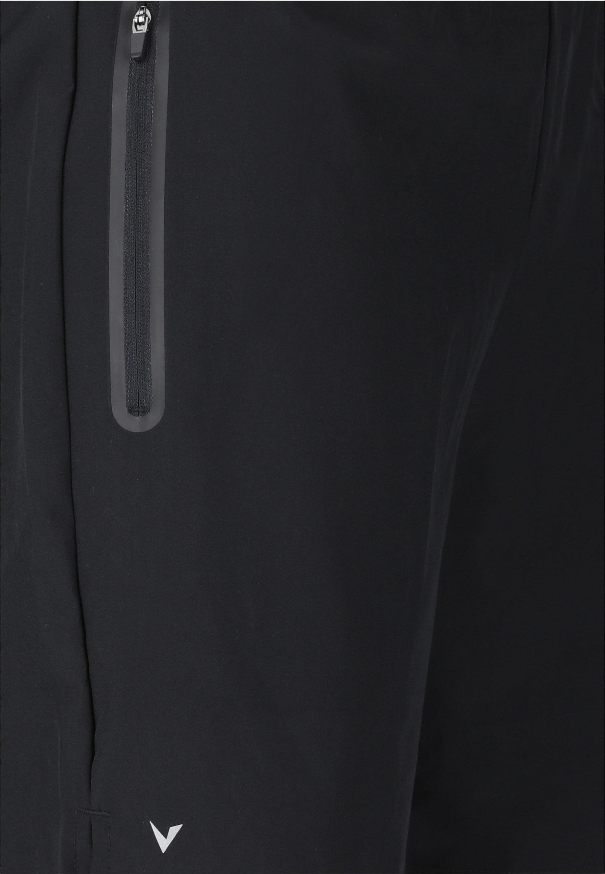 Virtus Shorts »Blag V3«  mit 4-Wege-Stretch