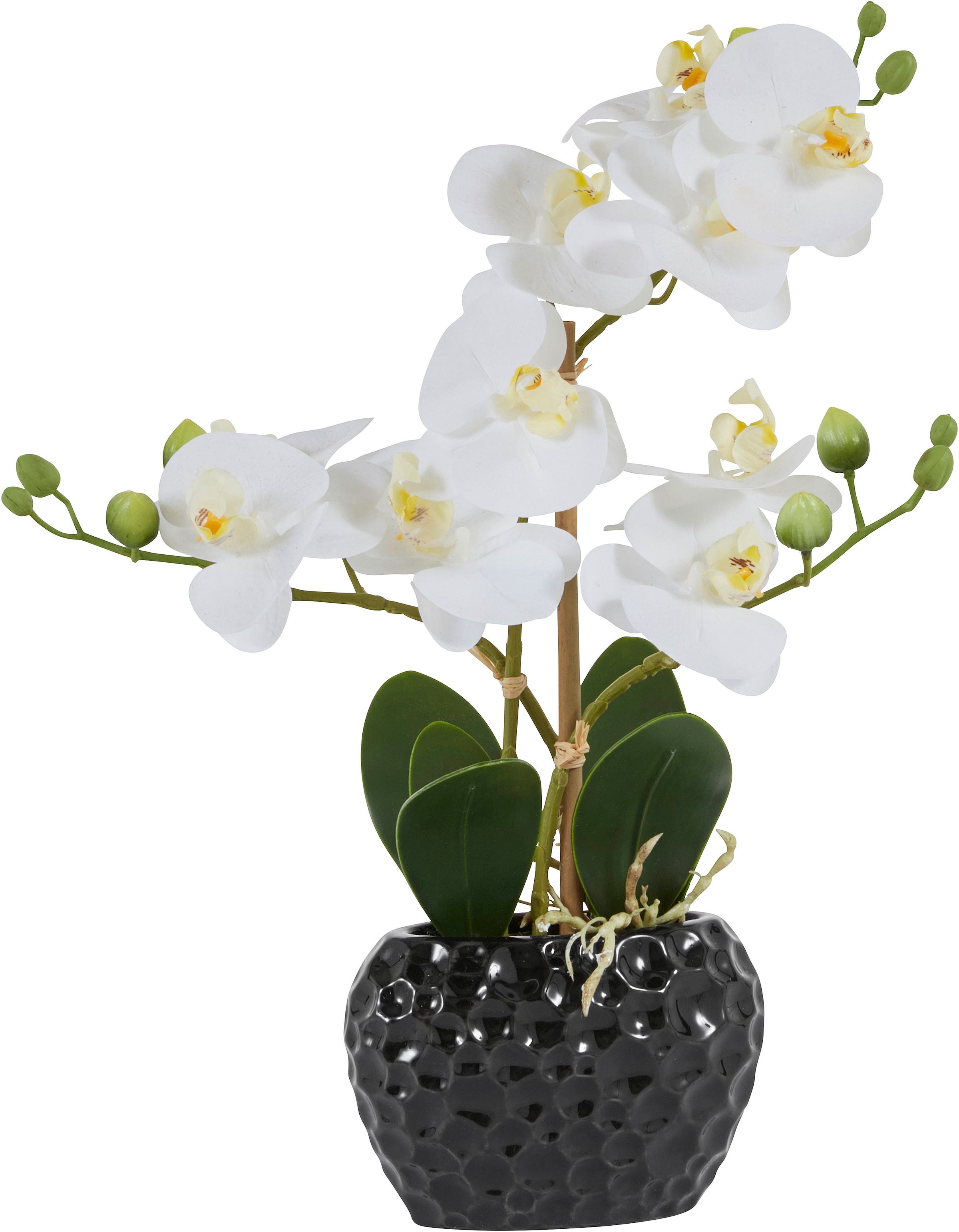 Leonique Kunstpflanze "Orchidee", Kunstorchidee, im Topf, Bestseller, über günstig online kaufen