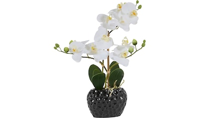 Kunstpflanze »Orchidee«, Kunstorchidee, im Topf