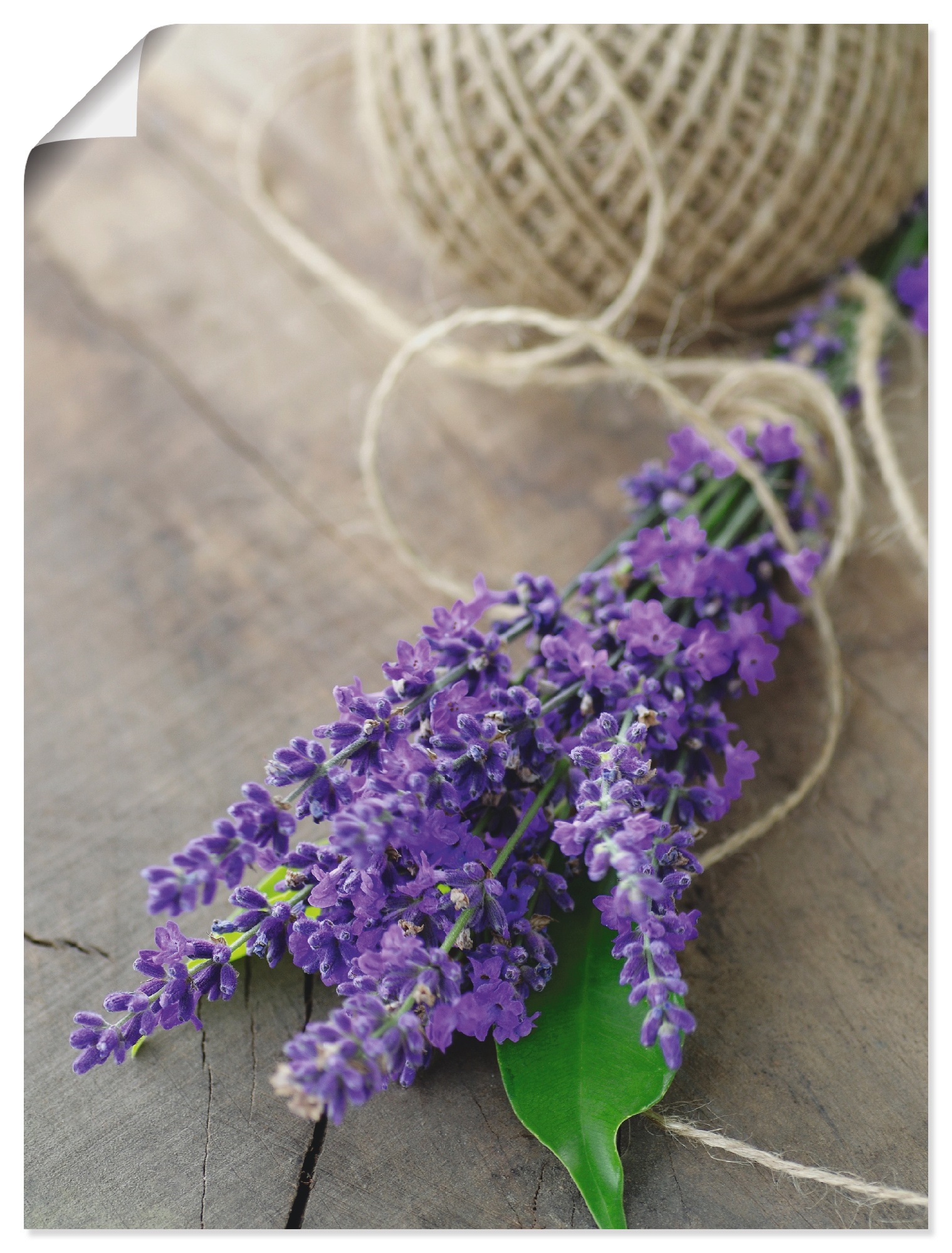 Artland Wandbild "Lavendel Strauß", Blumen, (1 St.), als Leinwandbild, Post günstig online kaufen